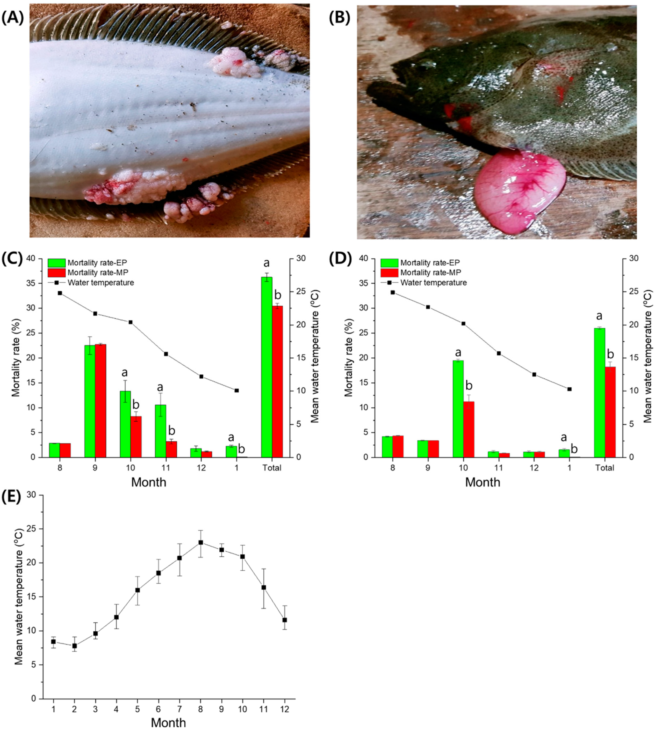 Fishes 05 00021 g002 Fishes 05 00021 g002