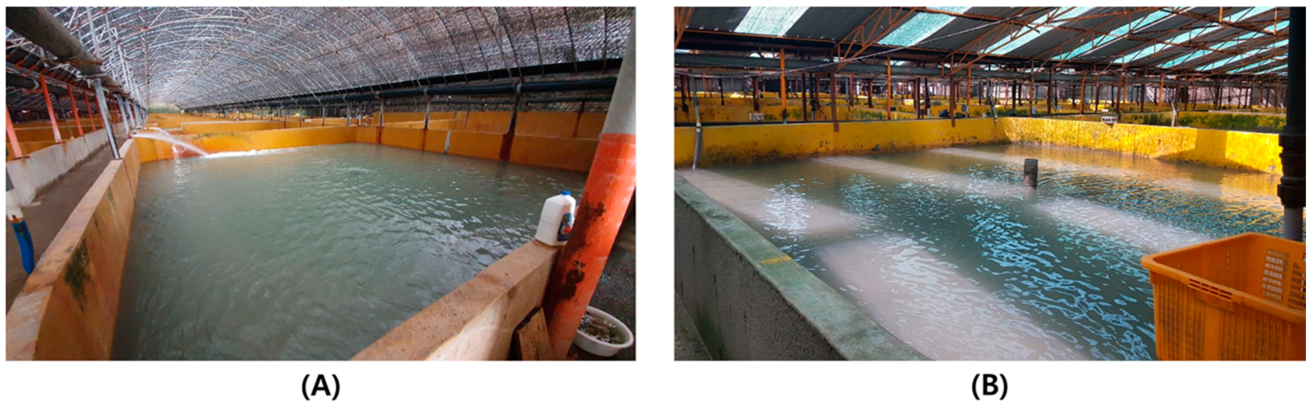 Fishes 05 00021 g005 Fishes 05 00021 g005