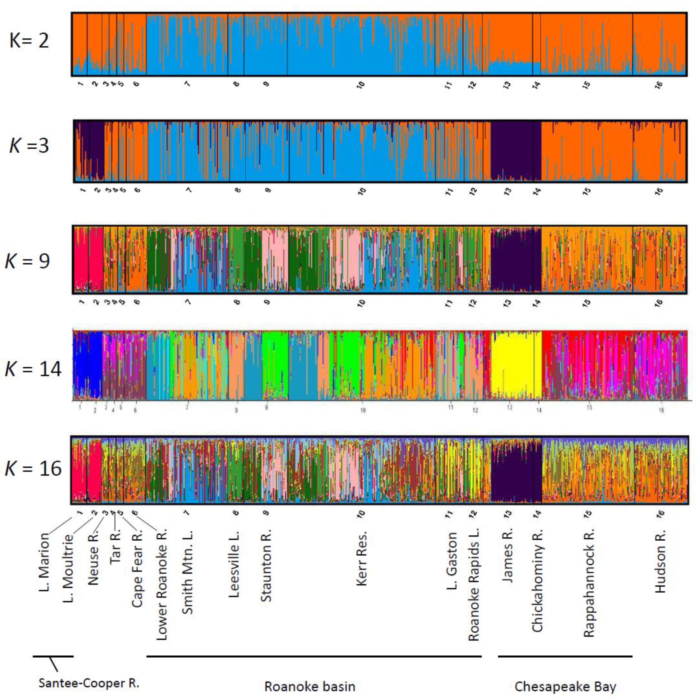 Fishes 05 00024 g004