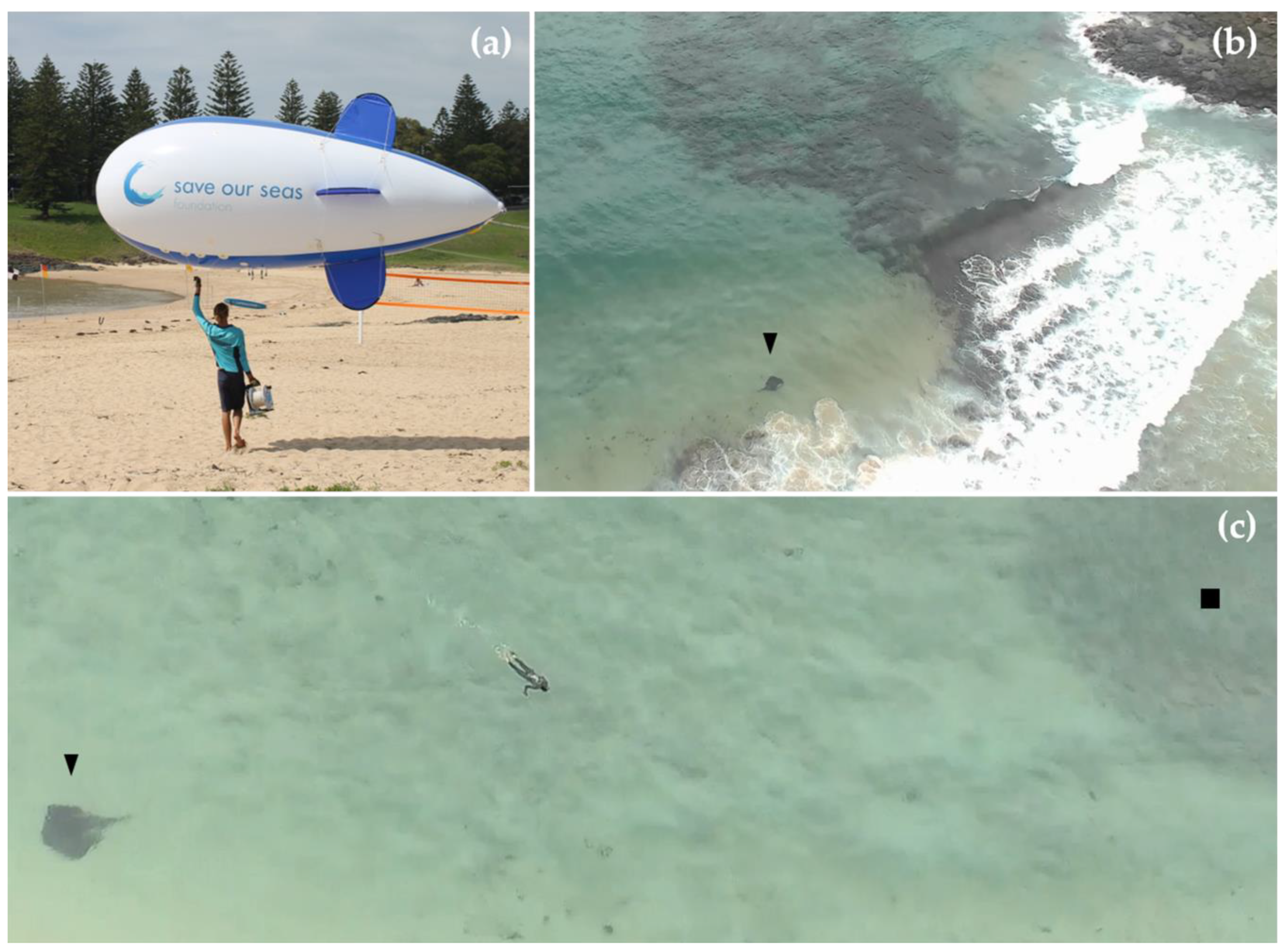 Fishes 05 00031 g006 Fishes 05 00031 g006