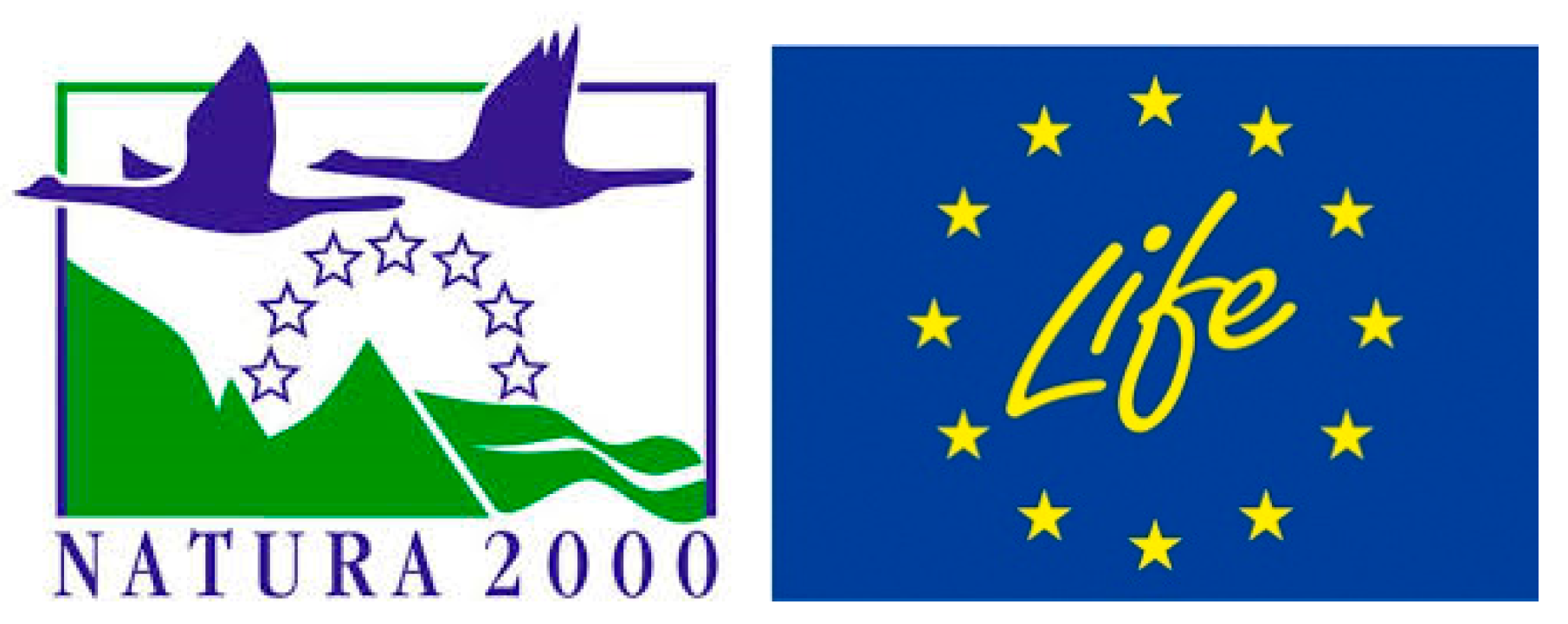 Fishes 06 00026 i001