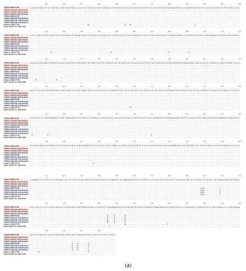 Fishes 06 00082 g0a2c 550