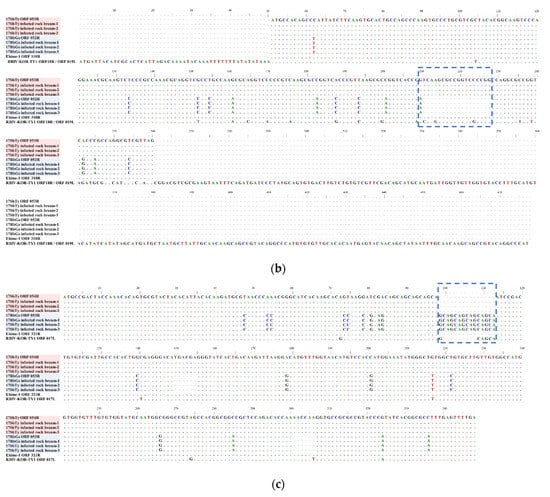 Fishes 06 00082 g0a2d 550