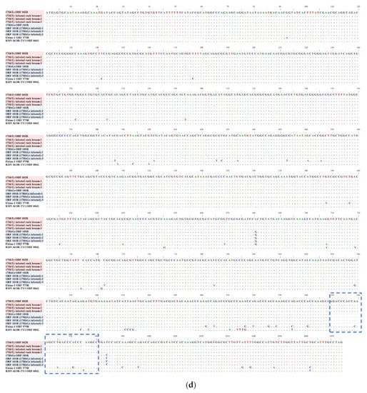 Fishes 06 00082 g0a2e 550