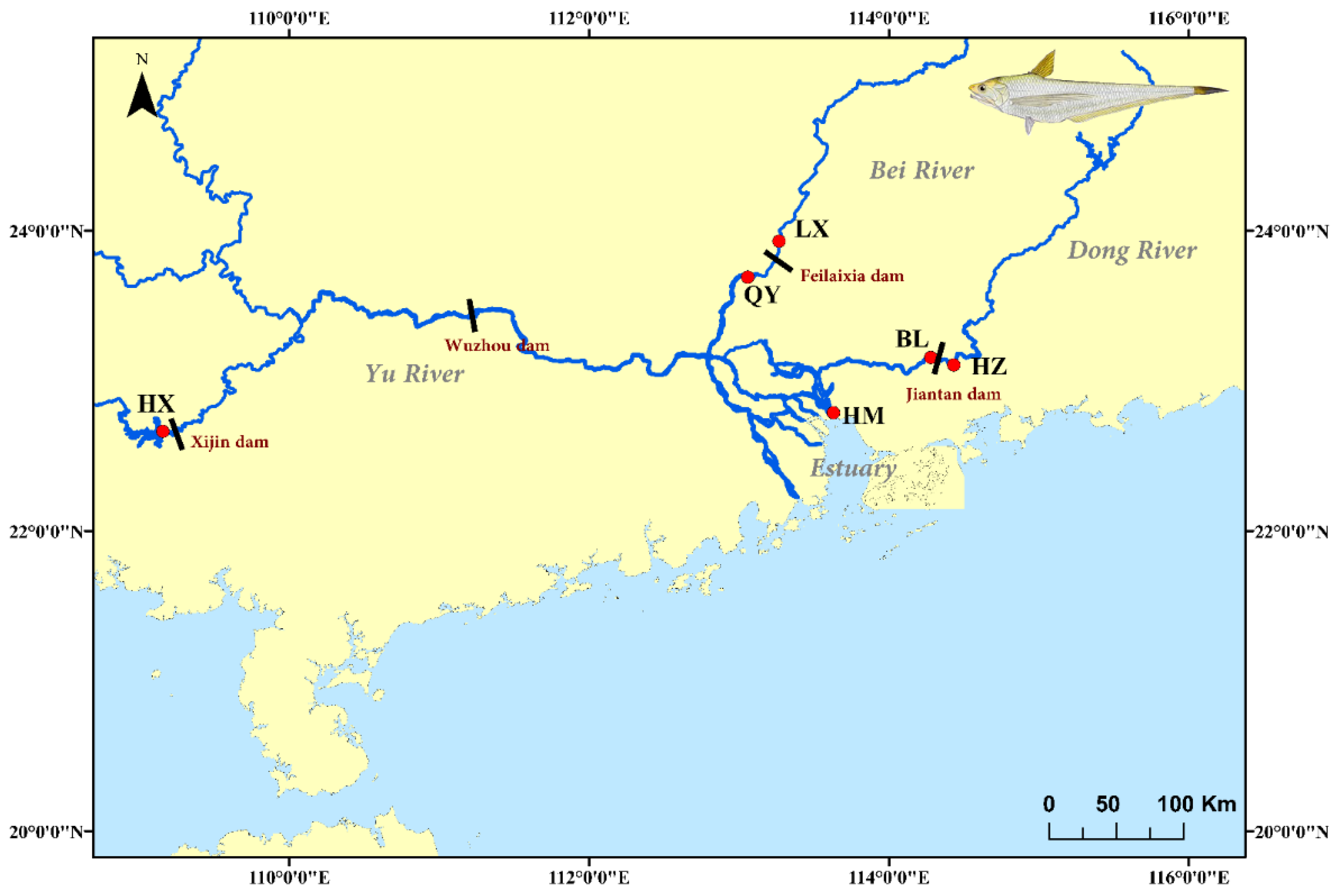 Fishes 07 00023 g001 Fishes 07 00023 g001