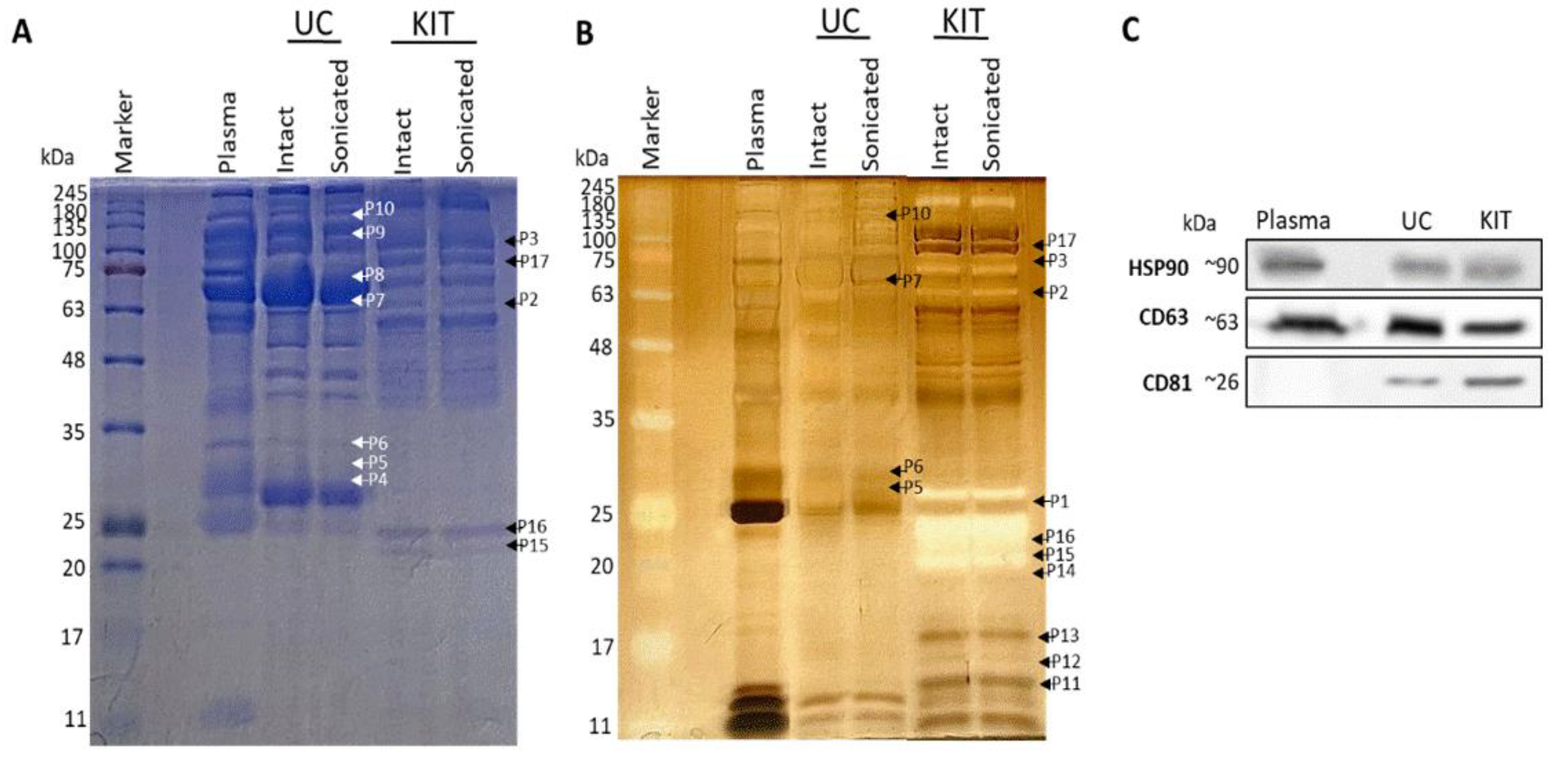Fishes 07 00036 g002