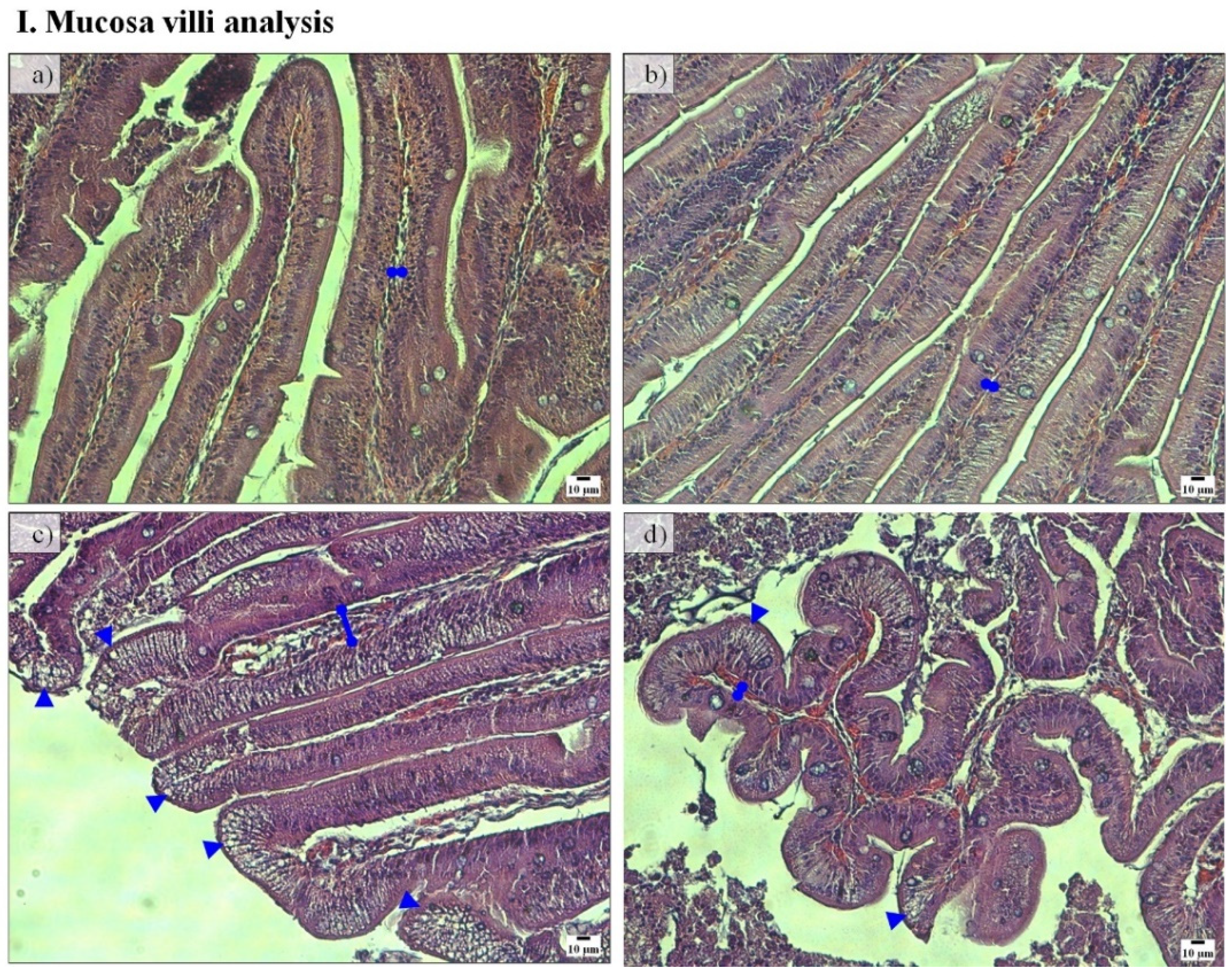 Fishes 07 00059 g002a