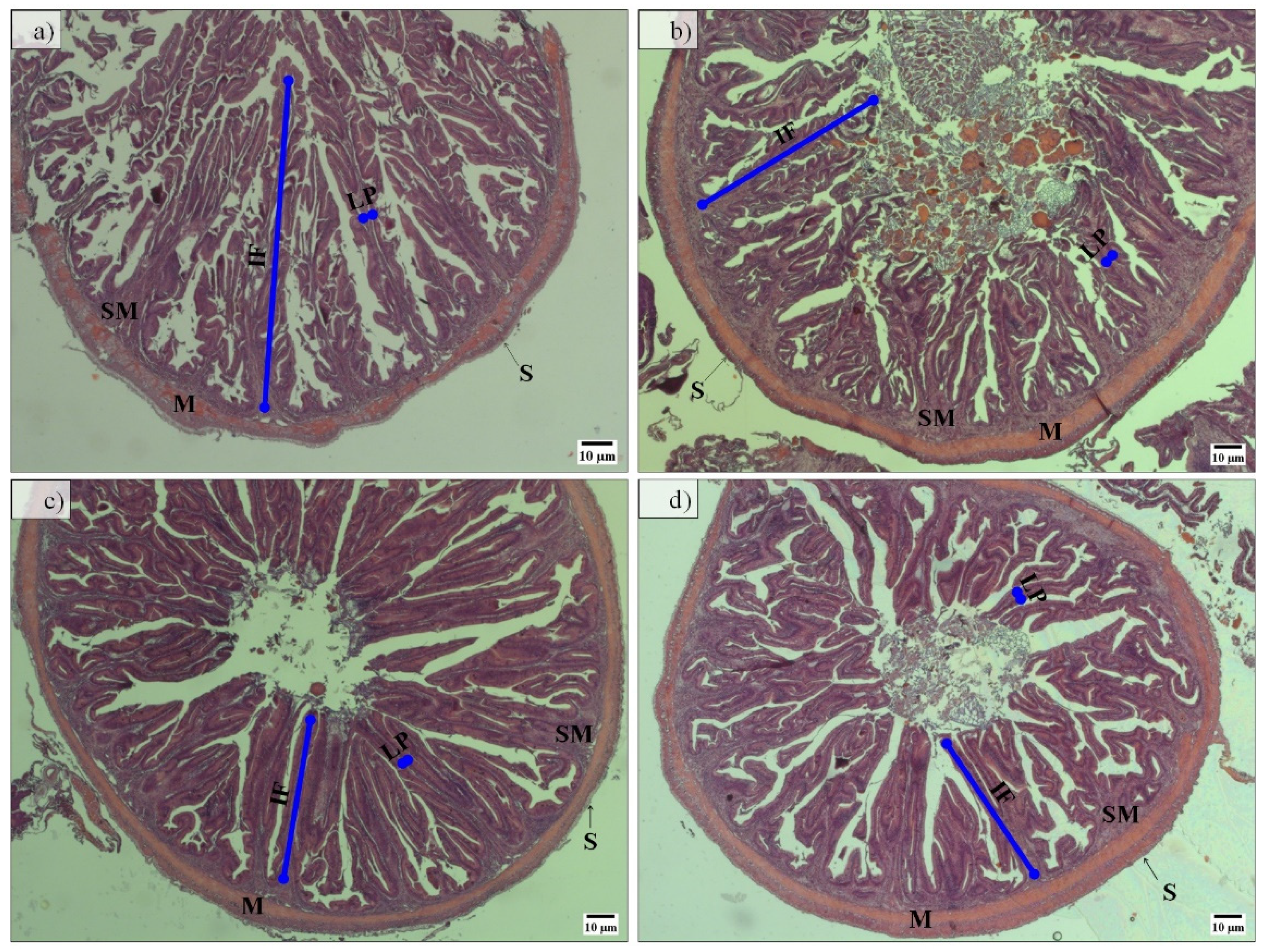 Fishes 07 00059 g003