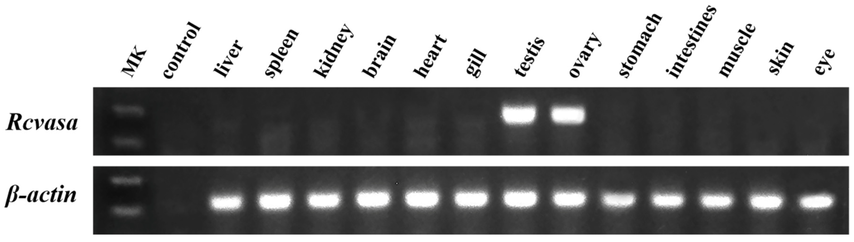 Fishes 07 00060 g003
