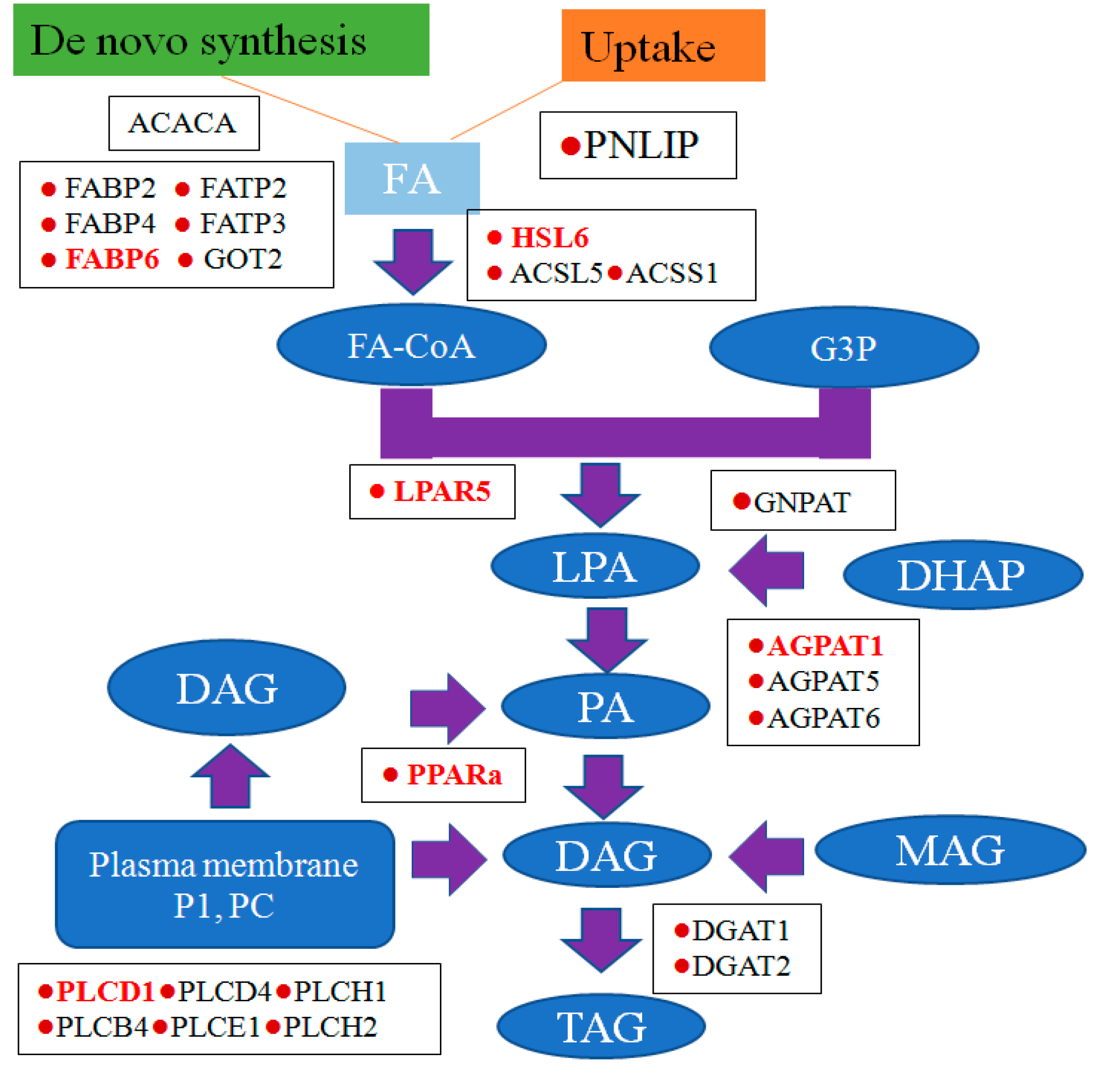 Fishes 07 00061 g005