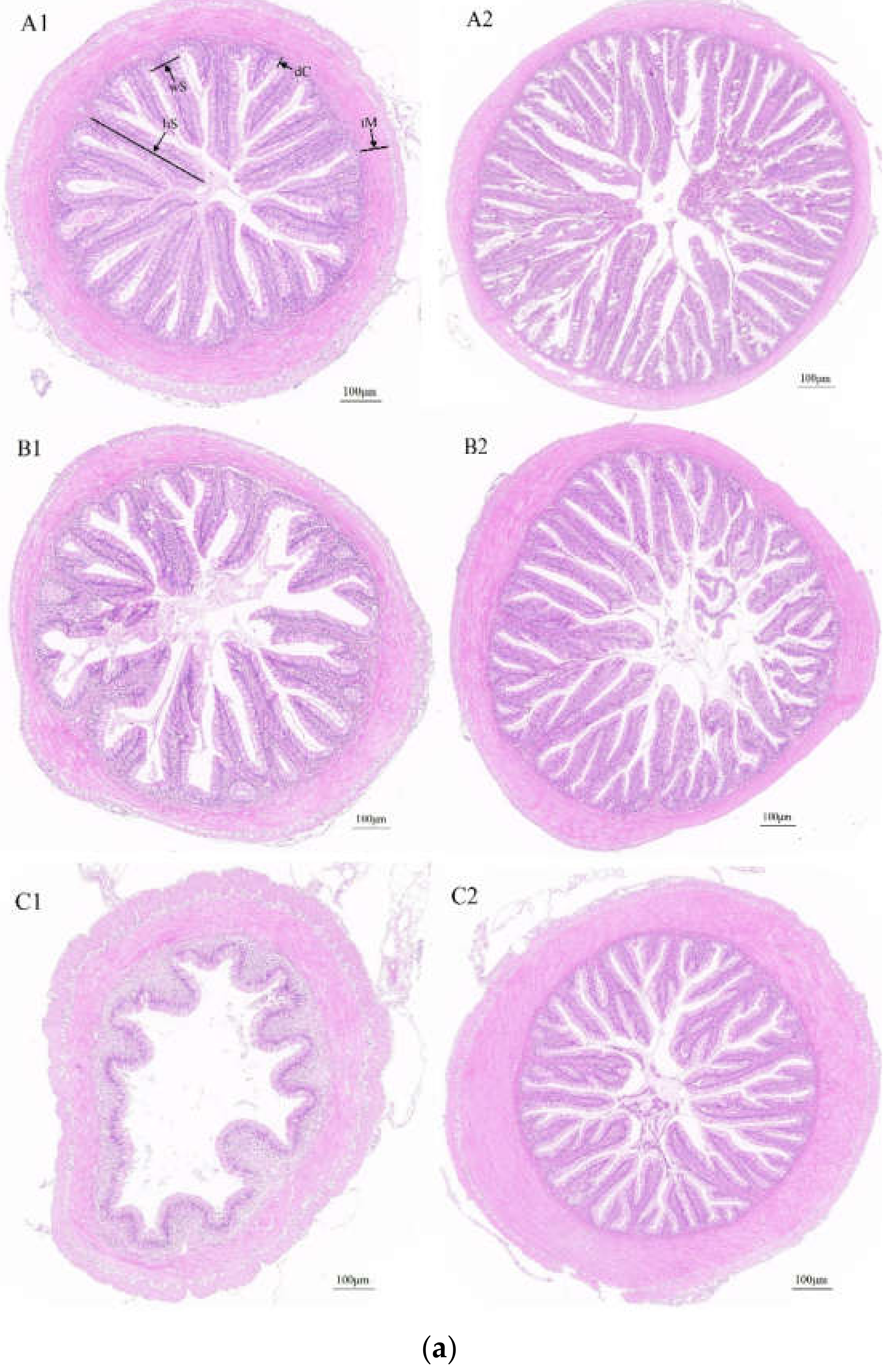 Fishes 07 00065 g001a