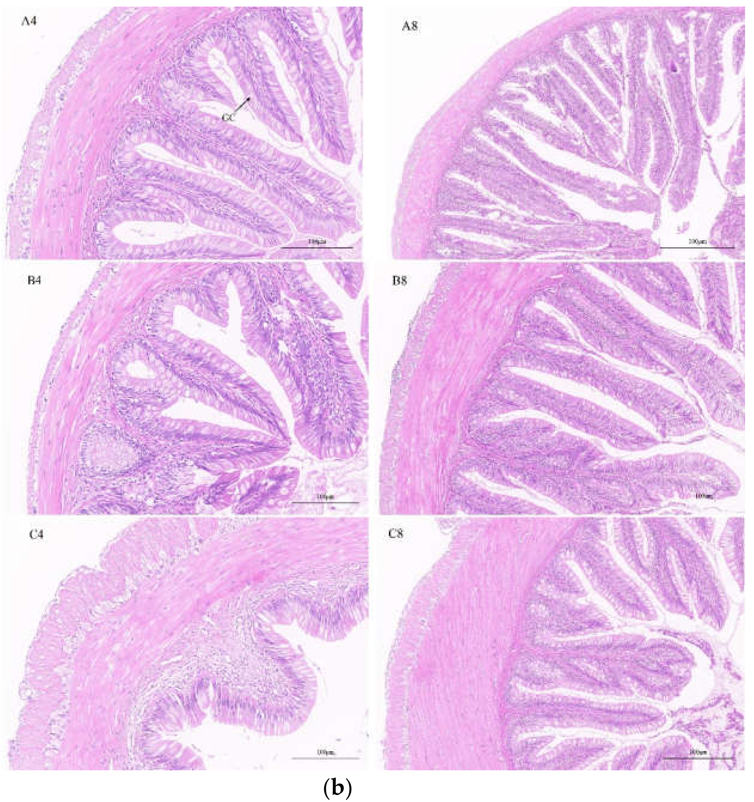Fishes 07 00065 g001b