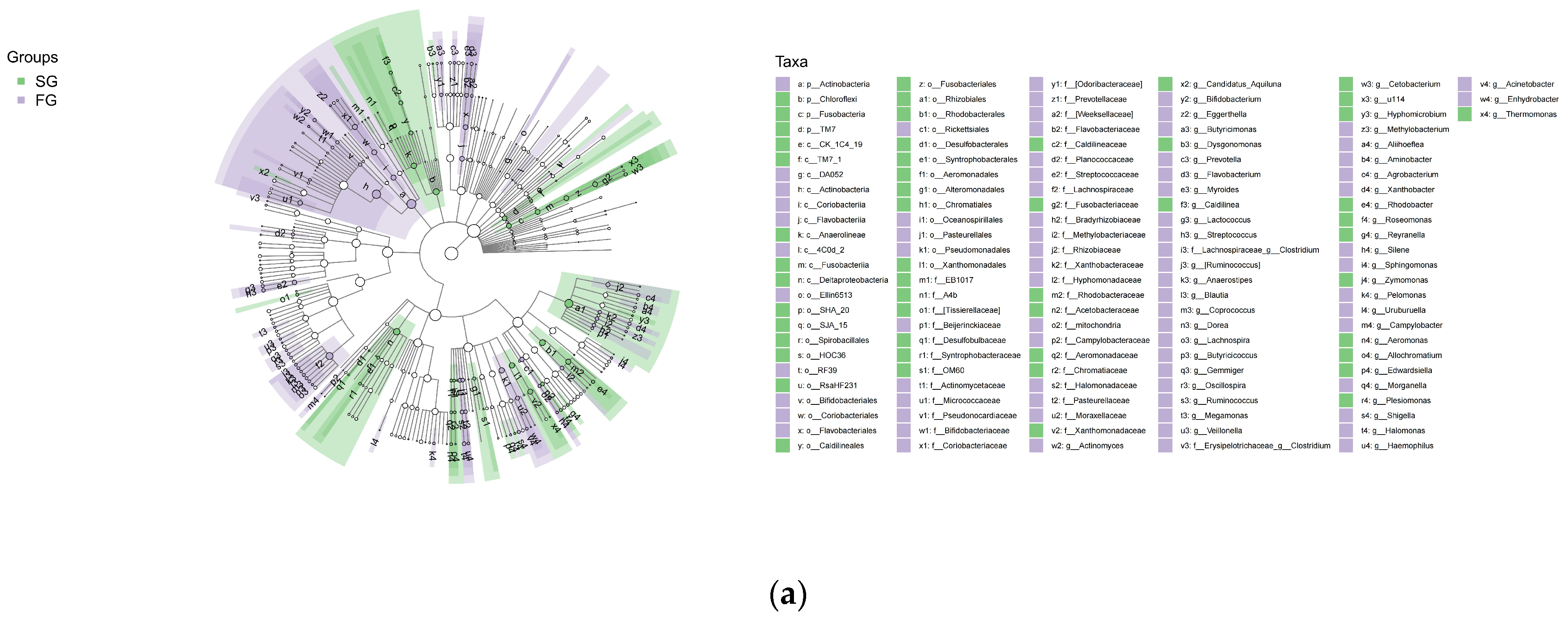 Fishes 07 00065 g005a