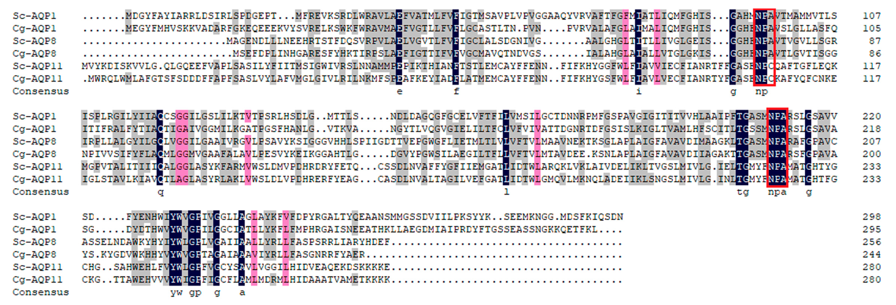 Fishes 07 00069 g003 Fishes 07 00069 g003