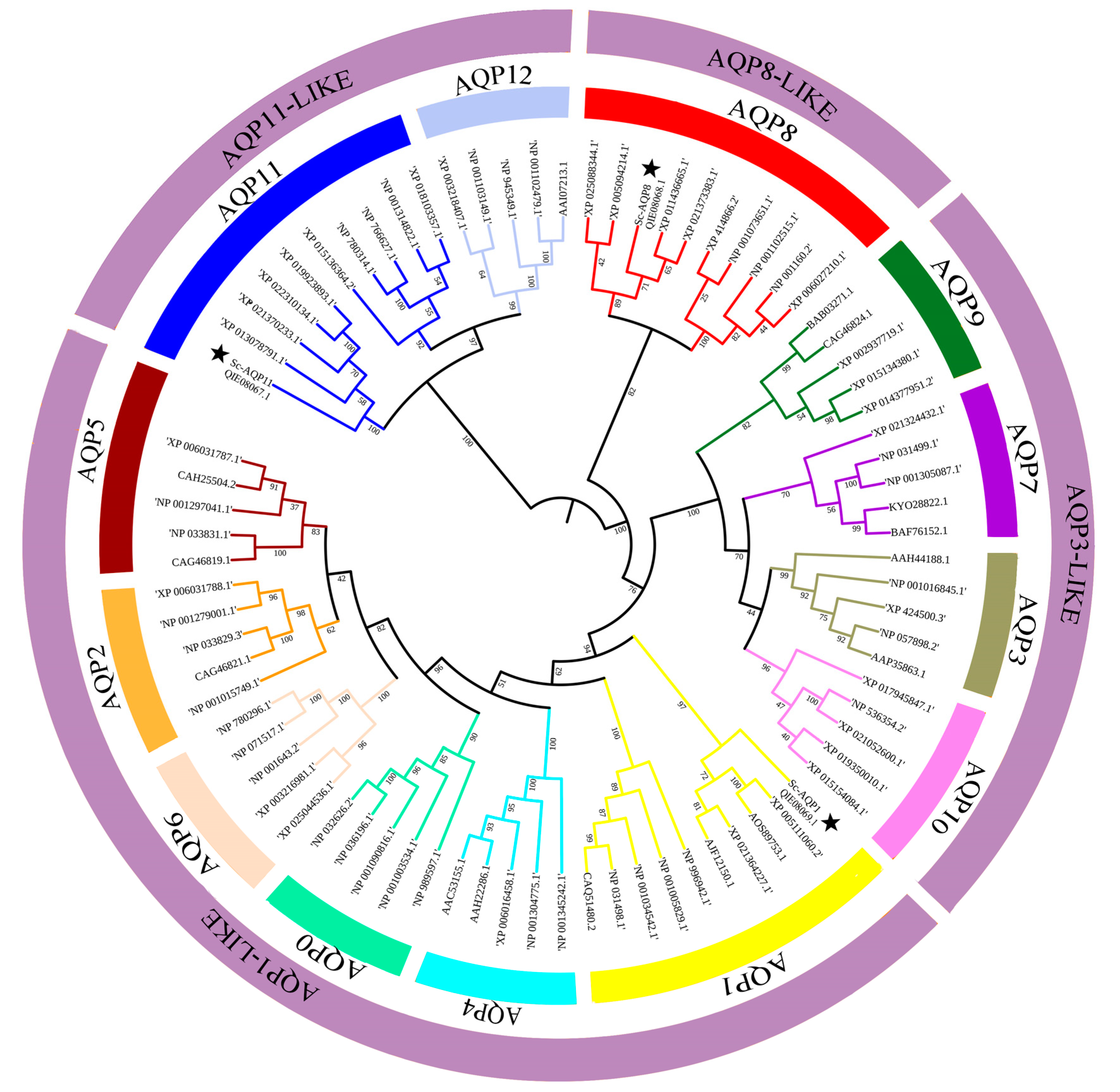 Fishes 07 00069 g004 Fishes 07 00069 g004
