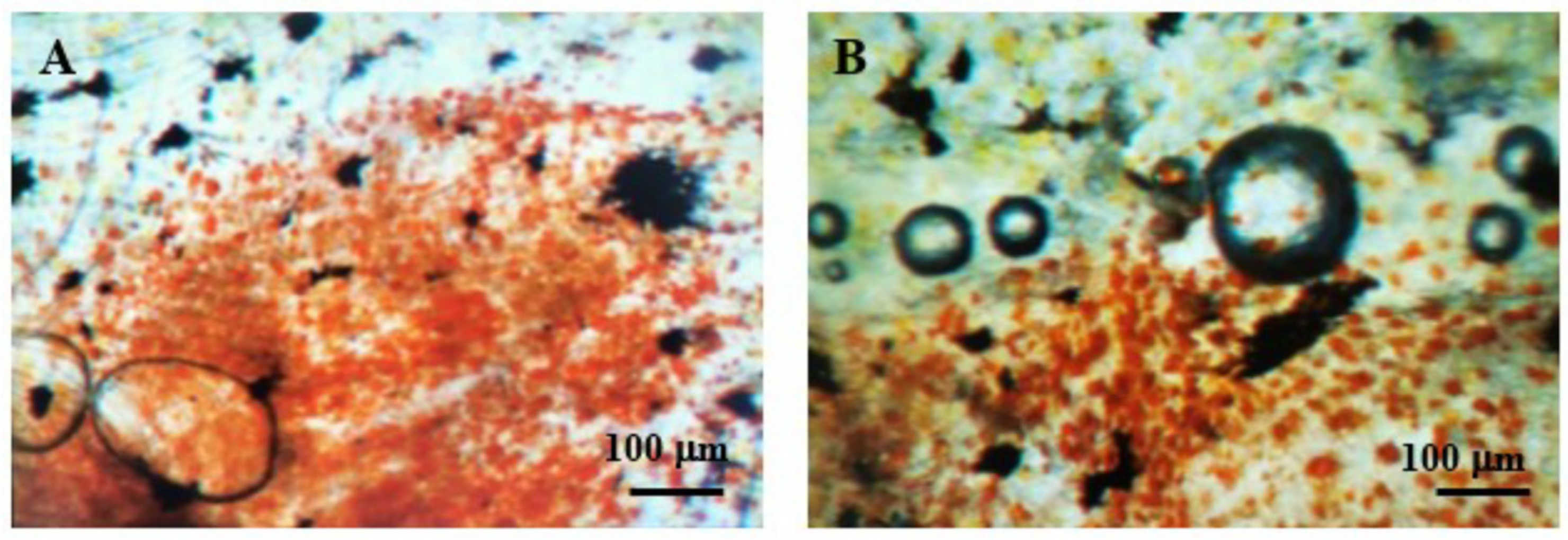 Fishes 07 00072 g001