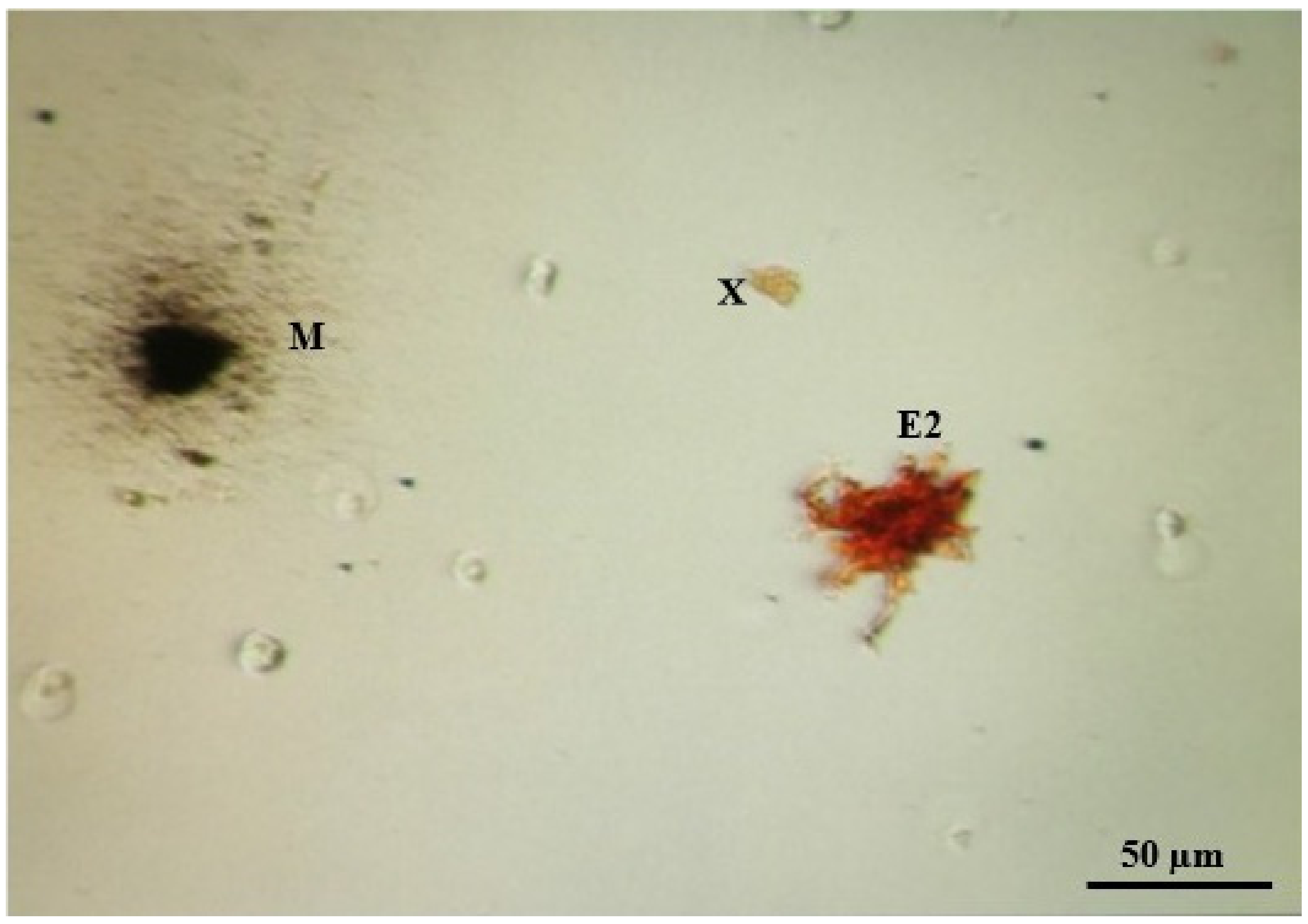 Fishes 07 00072 g003