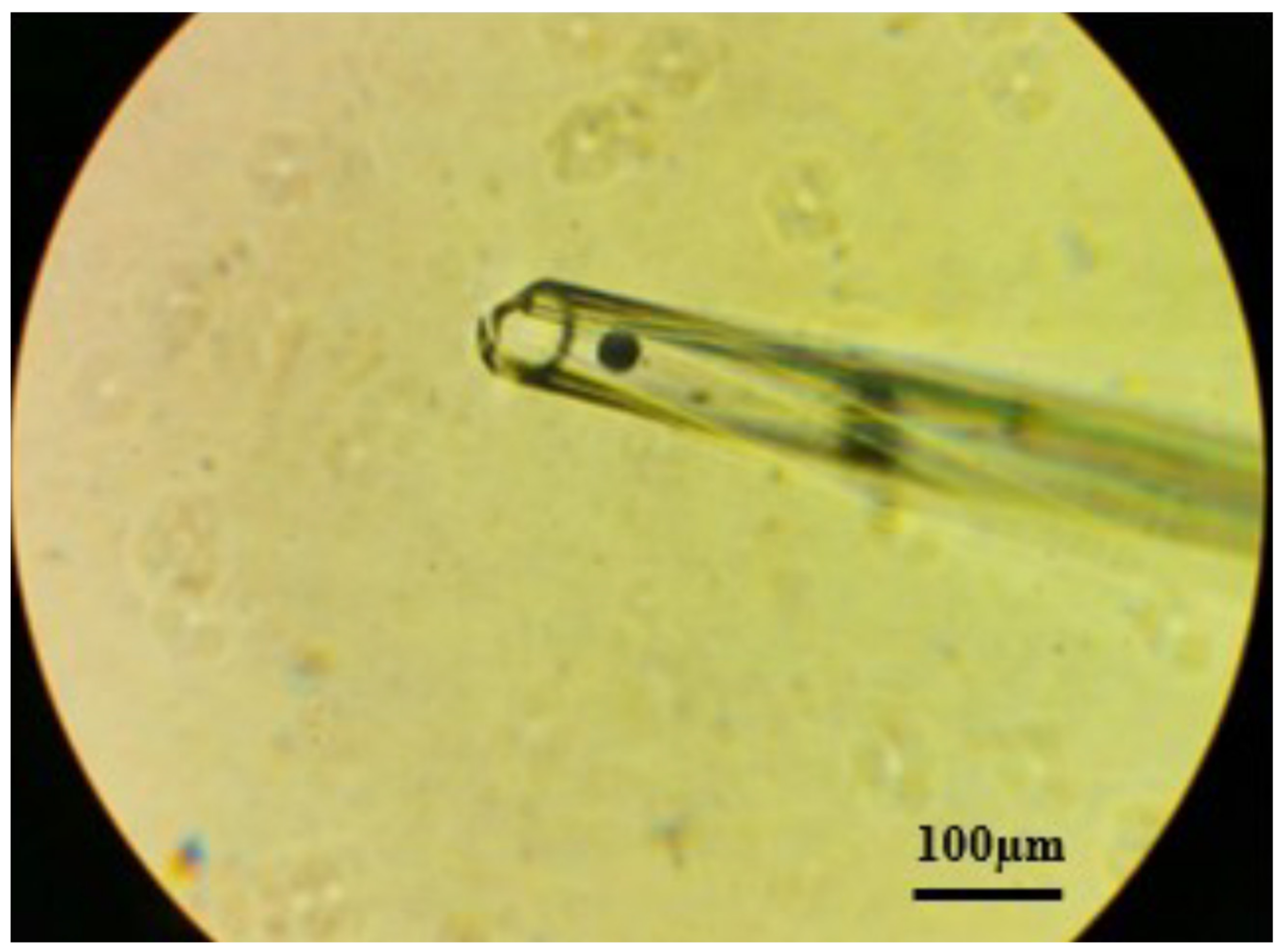 Fishes 07 00072 g004