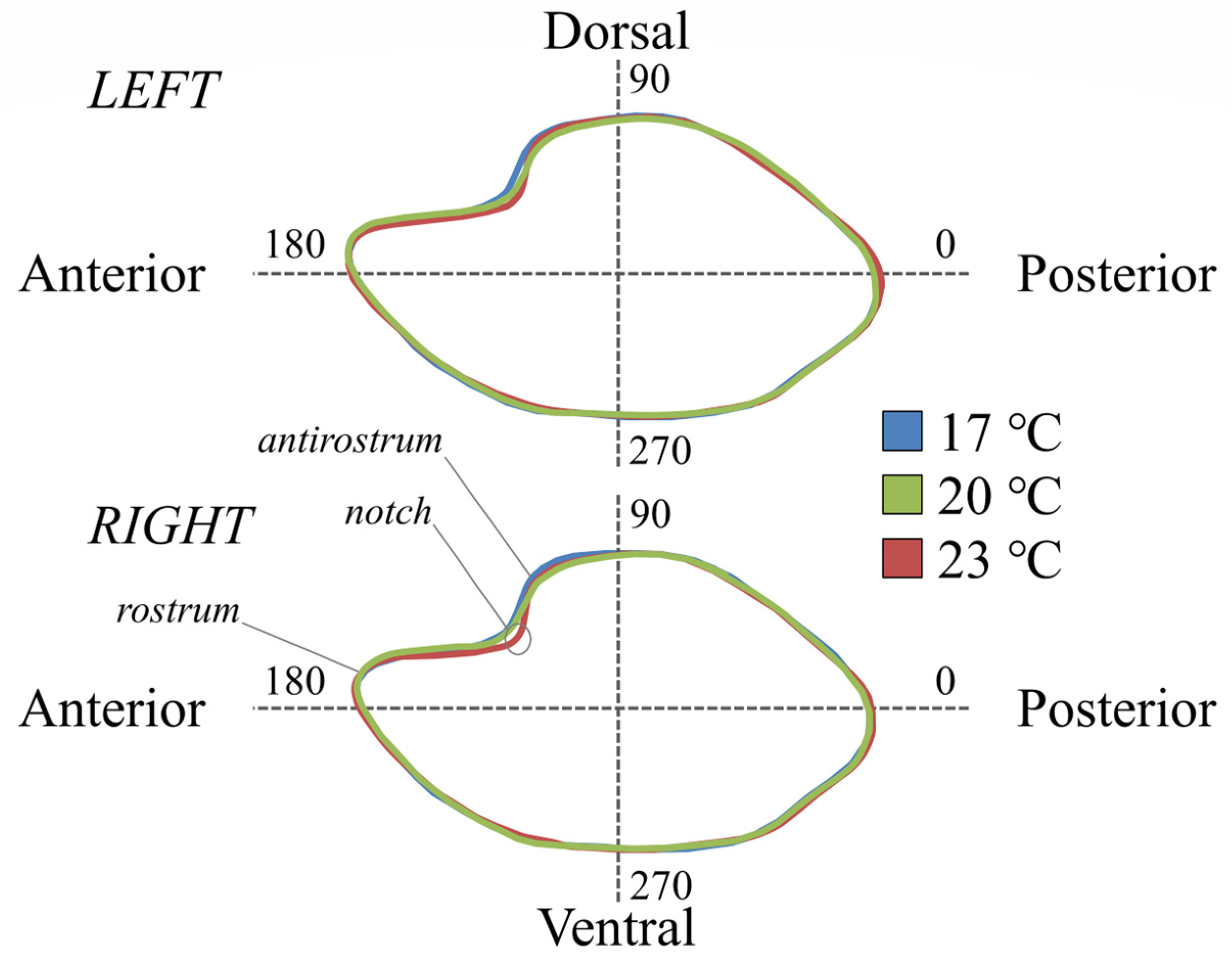 Fishes 07 00082 g004