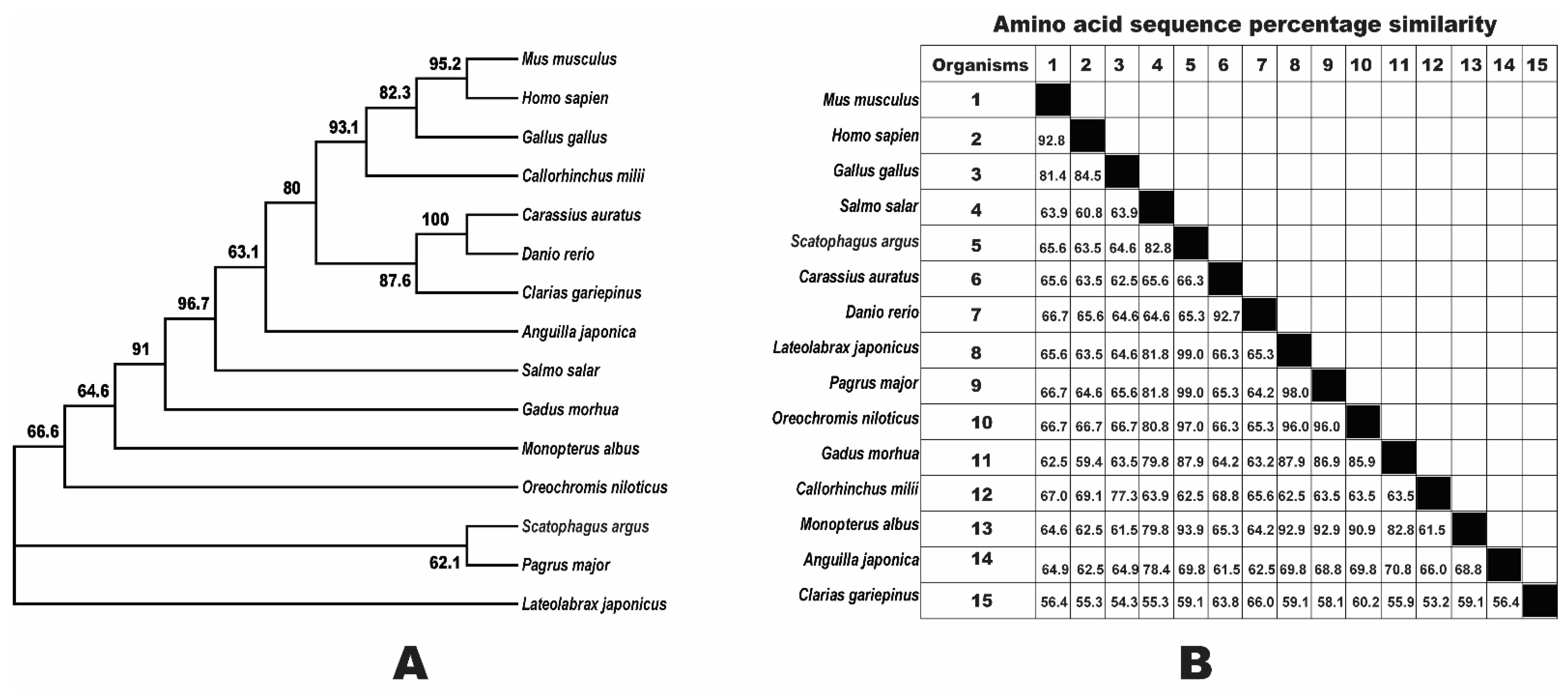 Fishes 07 00111 g002