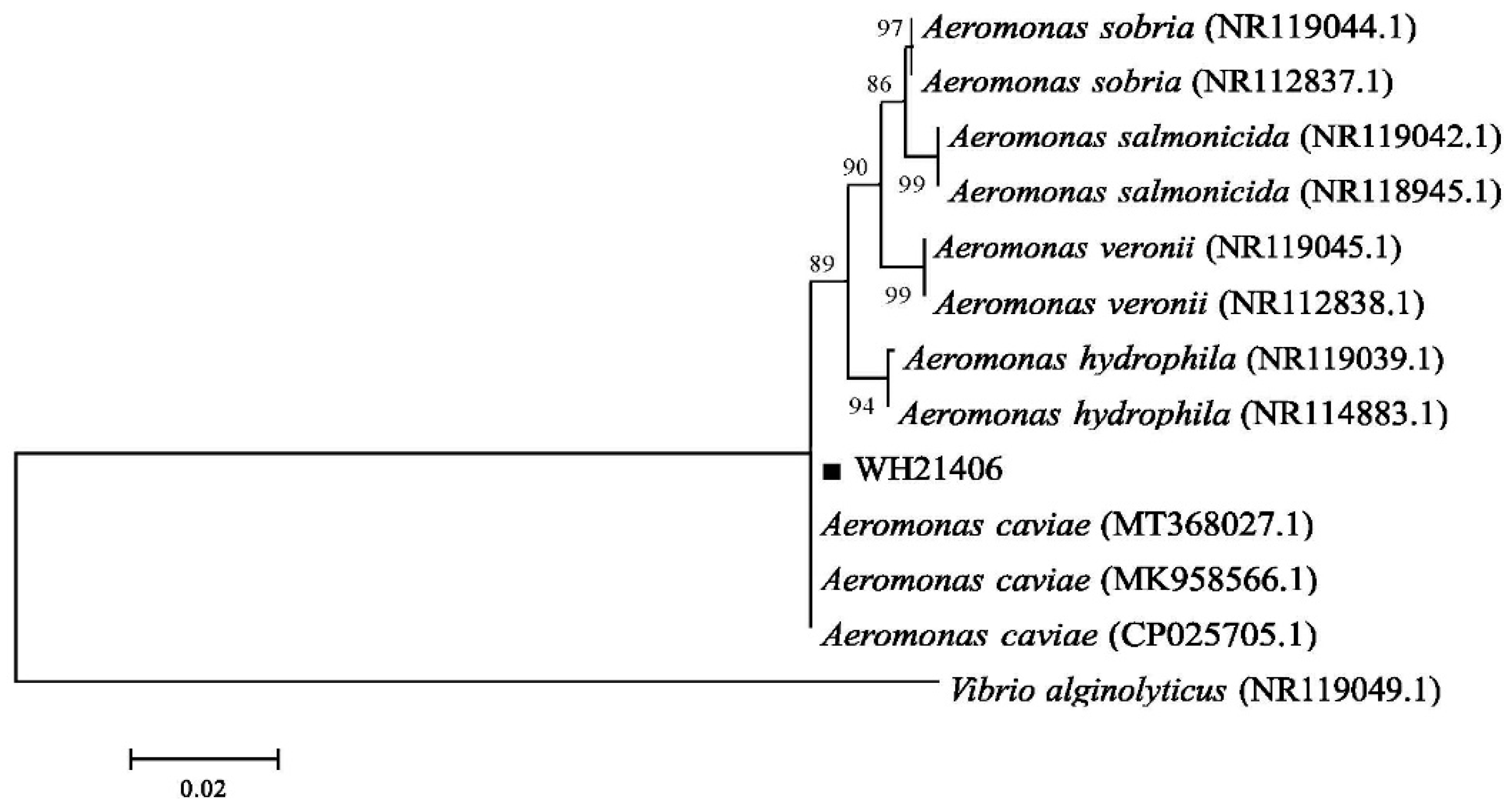 Fishes 07 00119 g003