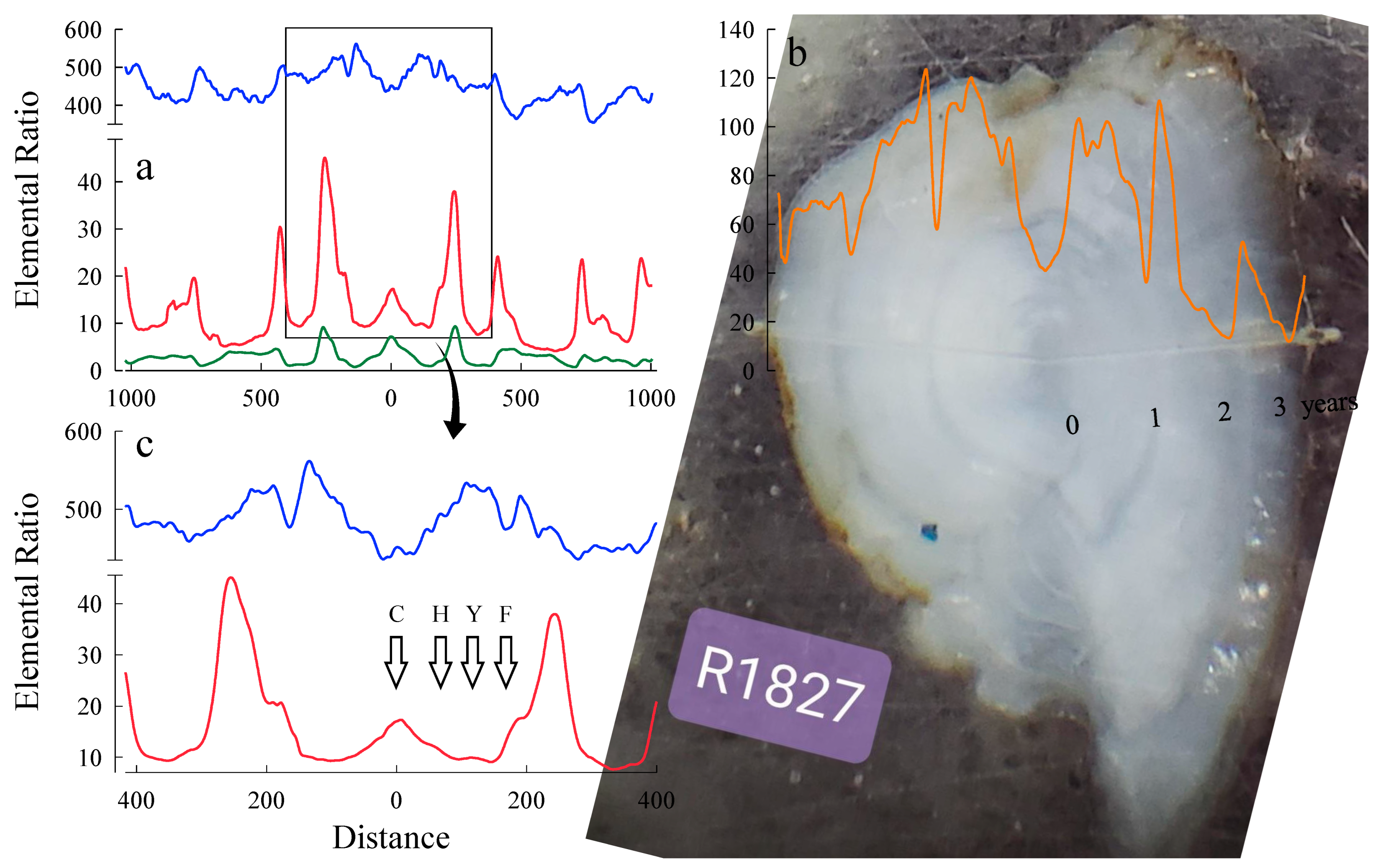 Fishes 07 00123 g003