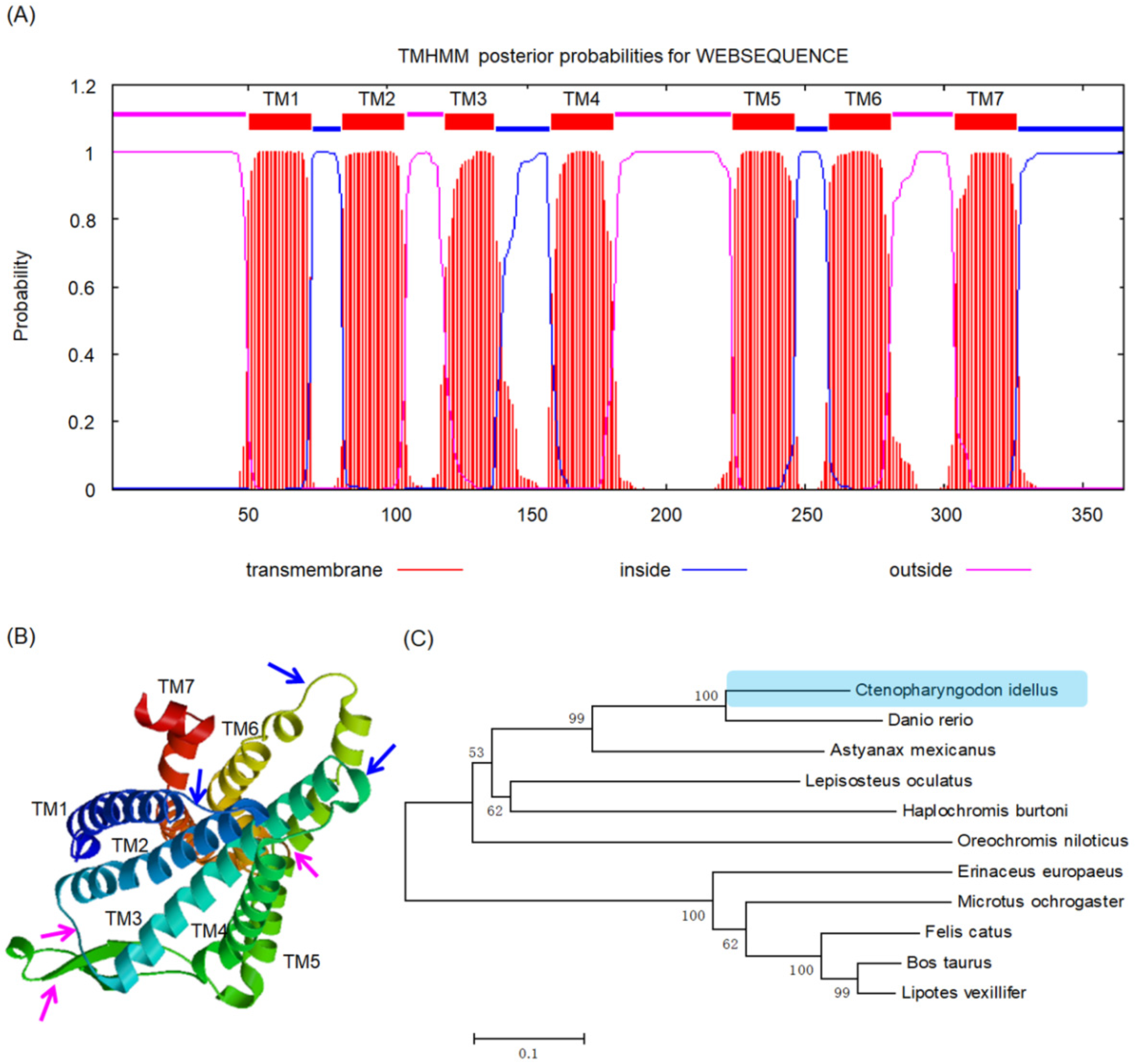 Fishes 07 00130 g002