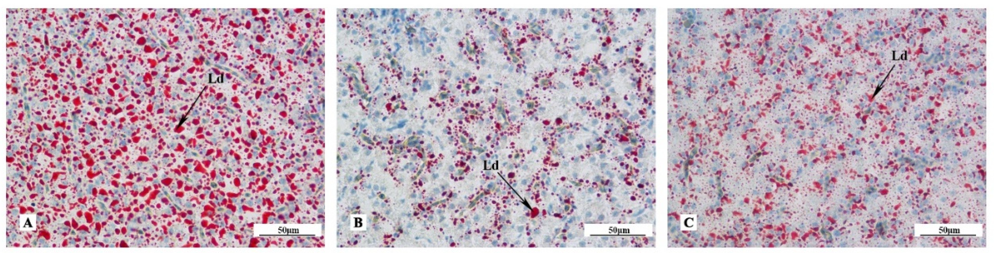 Fishes 07 00149 g002 Fishes 07 00149 g002