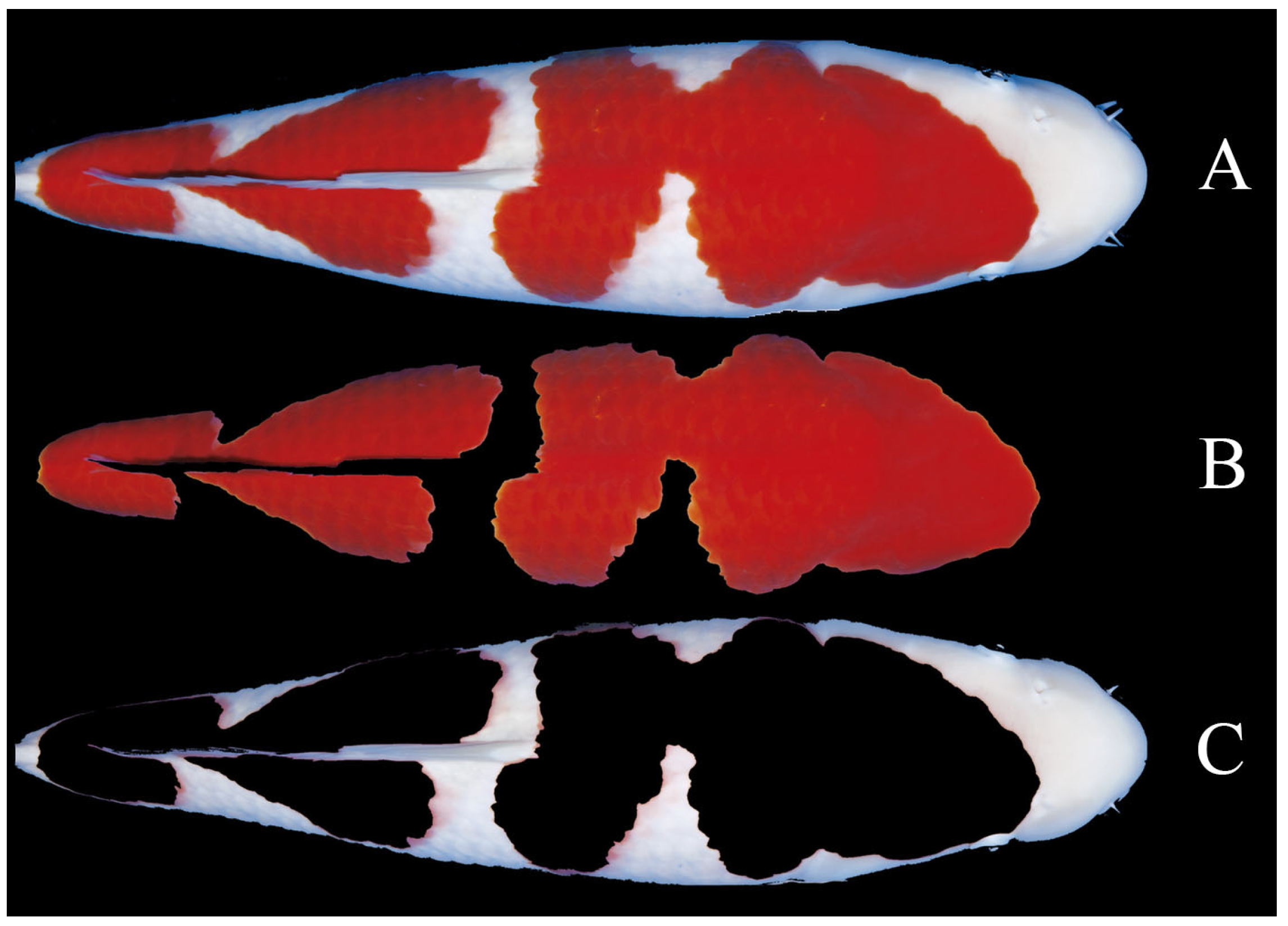 Fishes 07 00158 g003