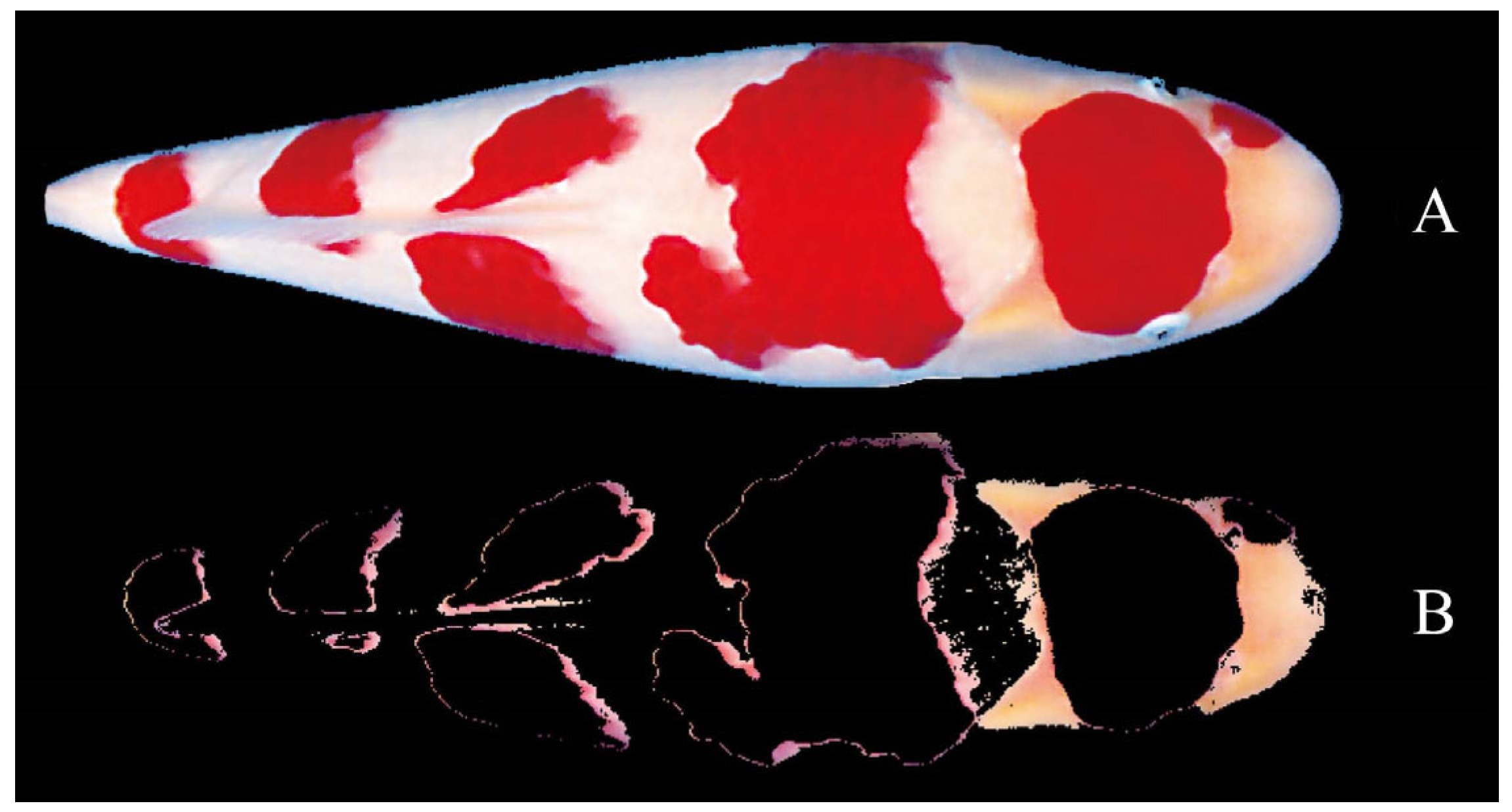 Fishes 07 00158 g004