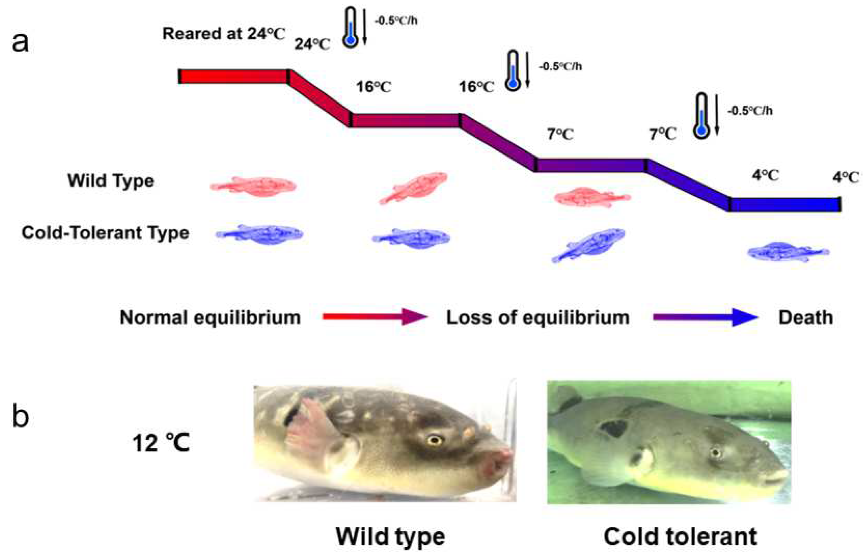Fishes 07 00159 g001