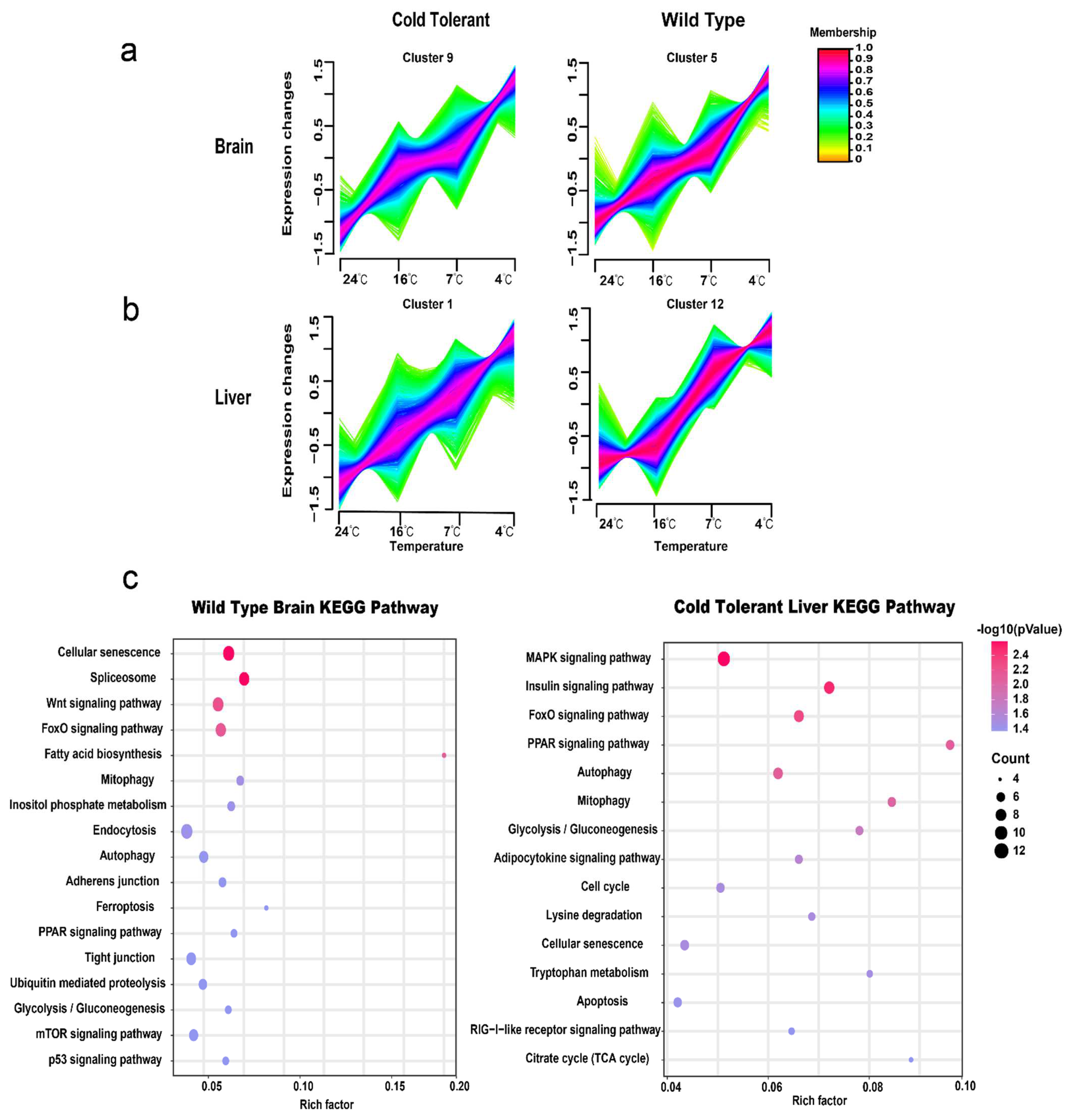 Fishes 07 00159 g002