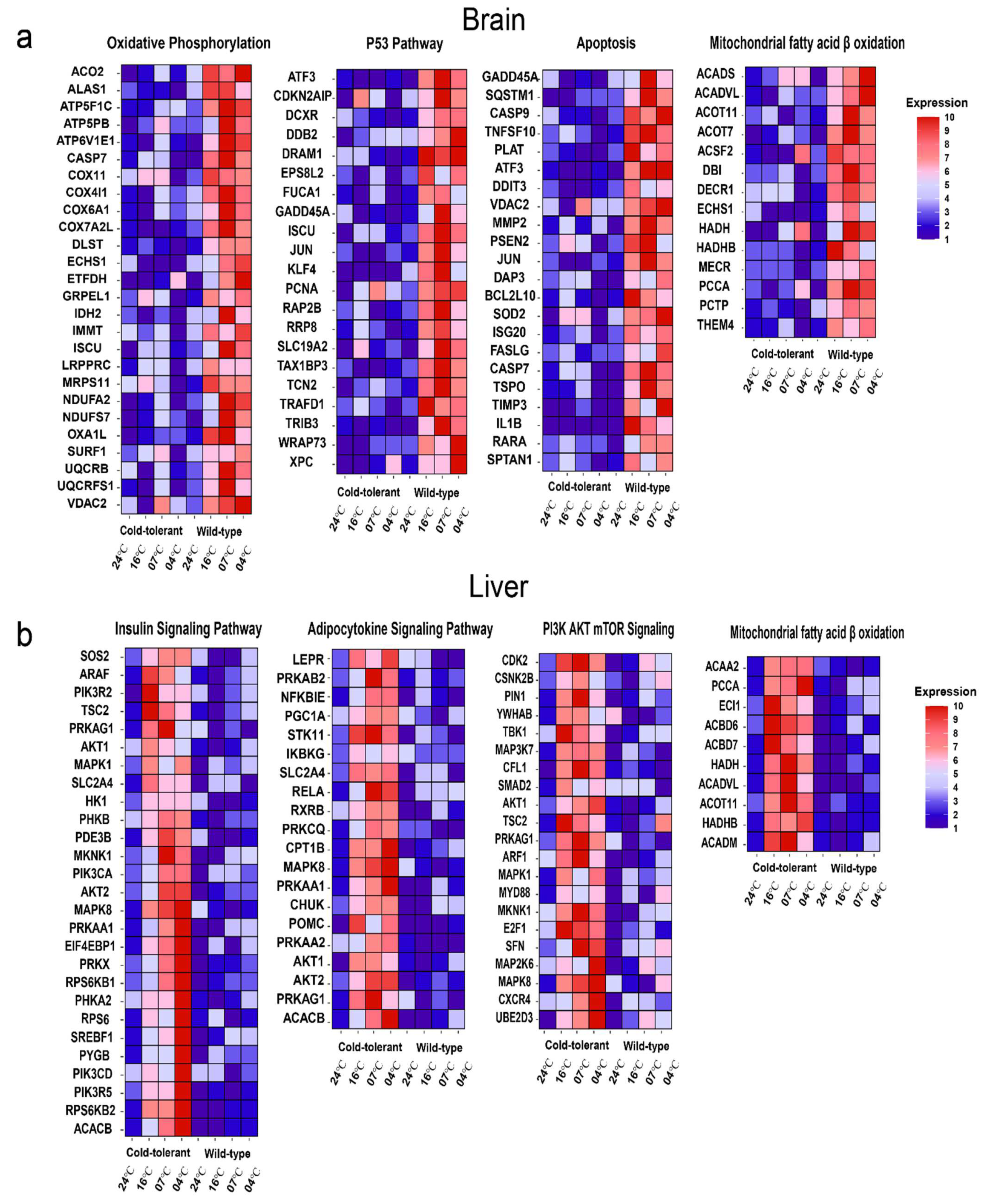 Fishes 07 00159 g003a