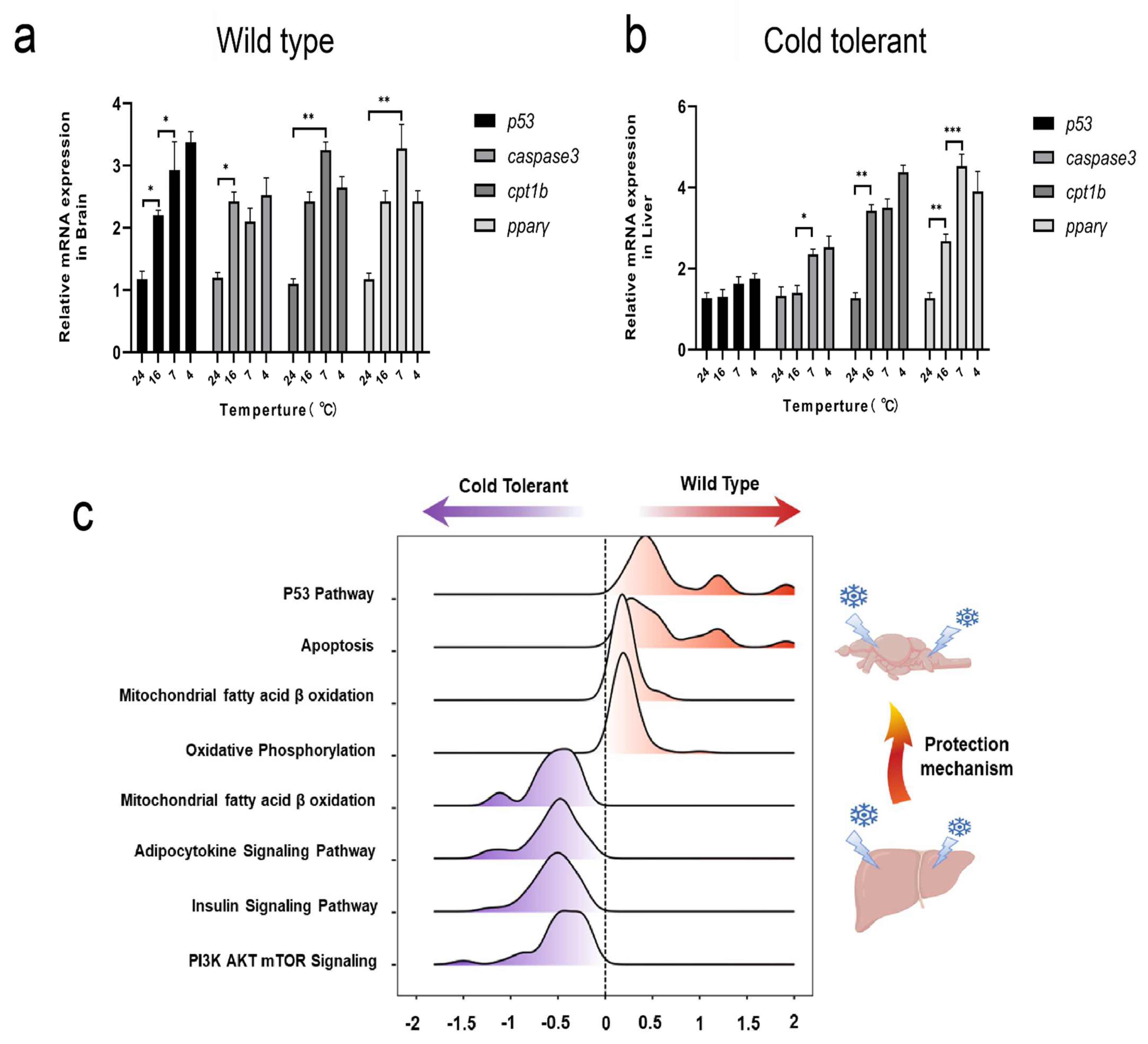 Fishes 07 00159 g004