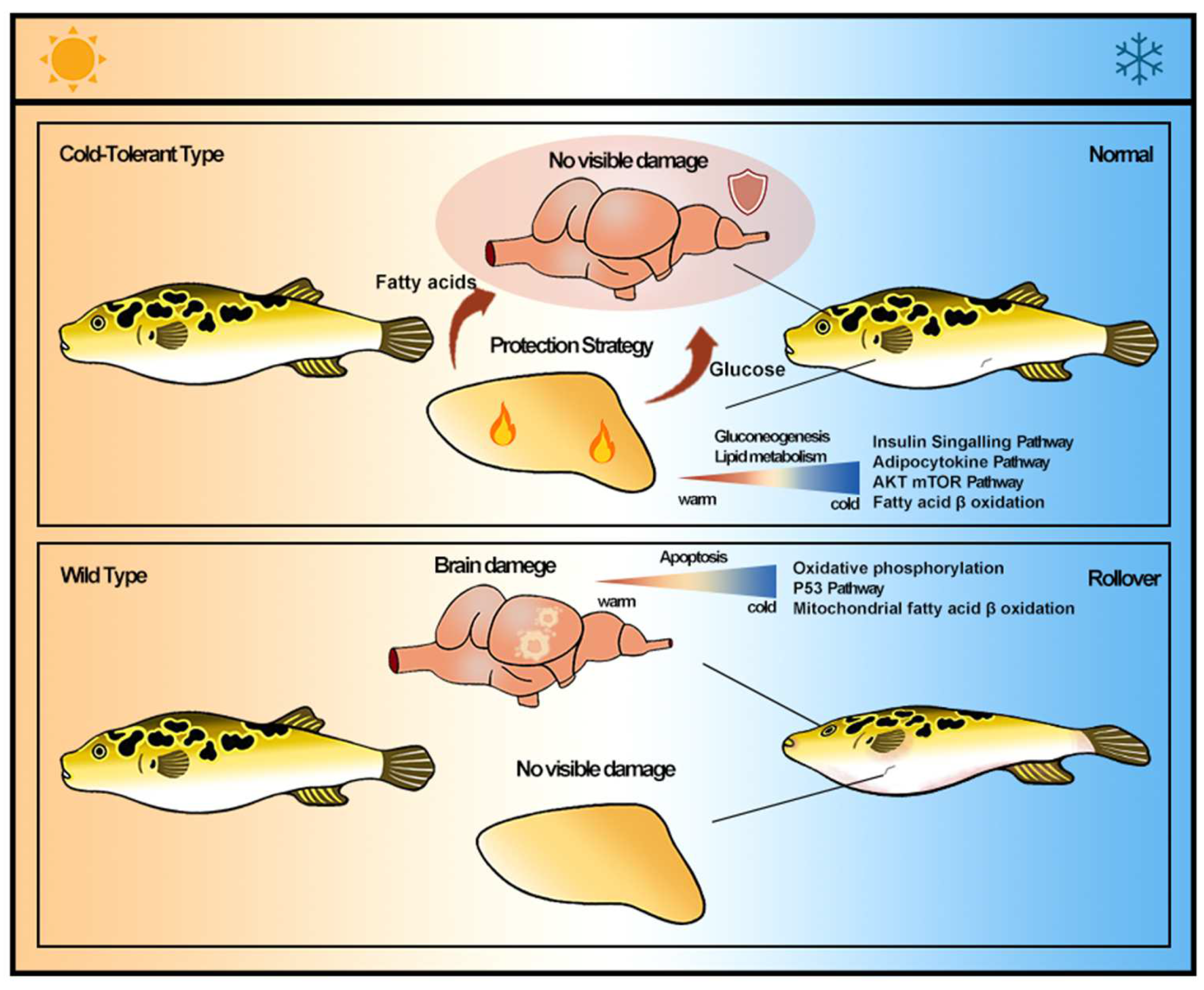 Fishes 07 00159 g005