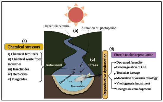 Fishes 07 00189 g002