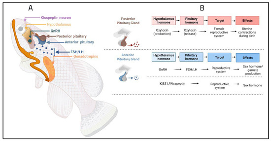 Fishes 07 00189 g003