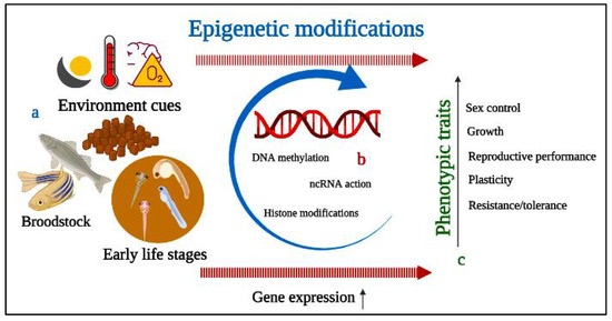 Fishes 07 00189 g004