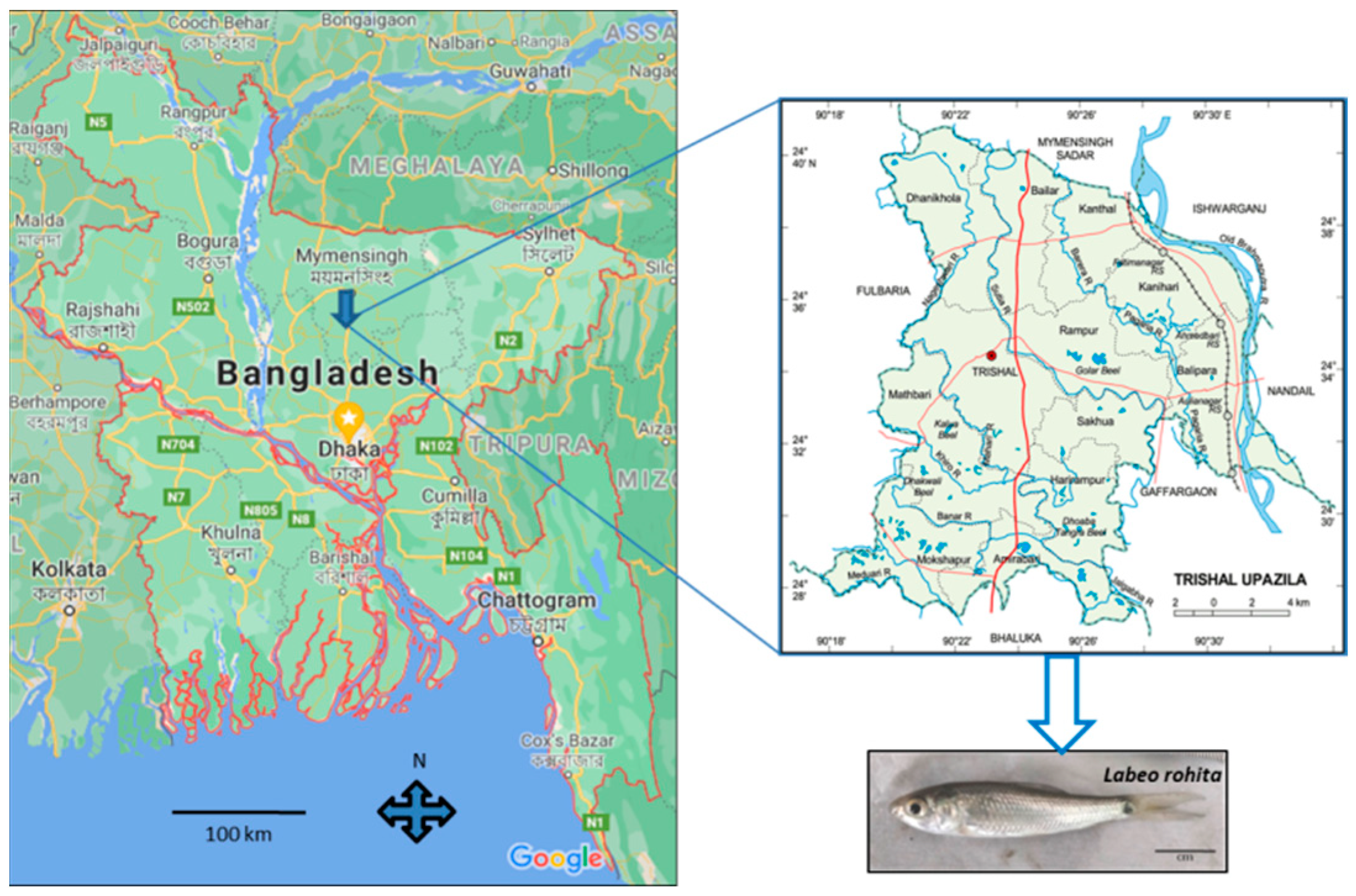 Fishes 07 00217 g001 Fishes 07 00217 g001