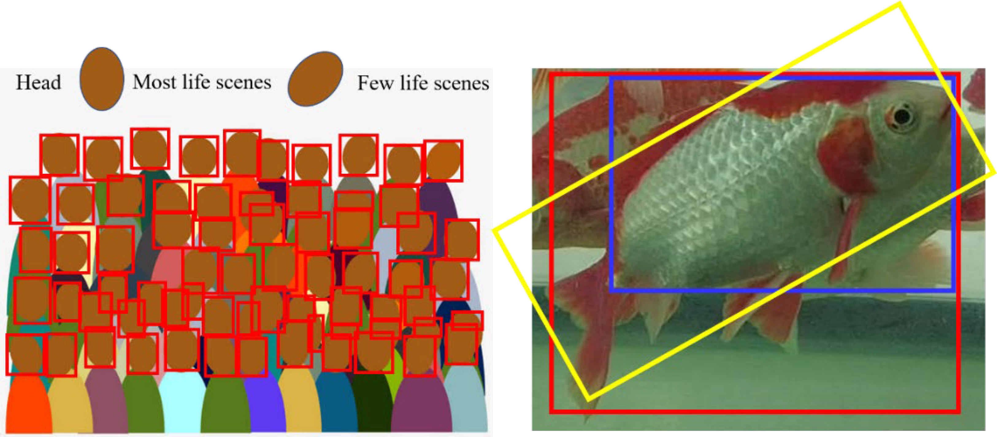 Fishes 07 00219 g004