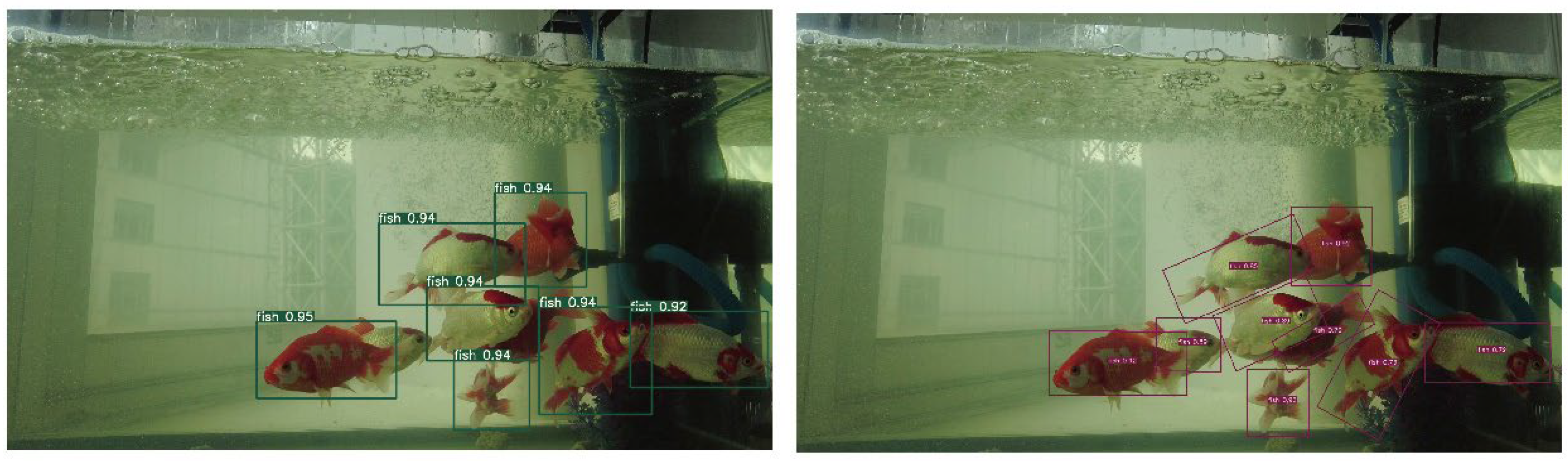 Fishes 07 00219 g015