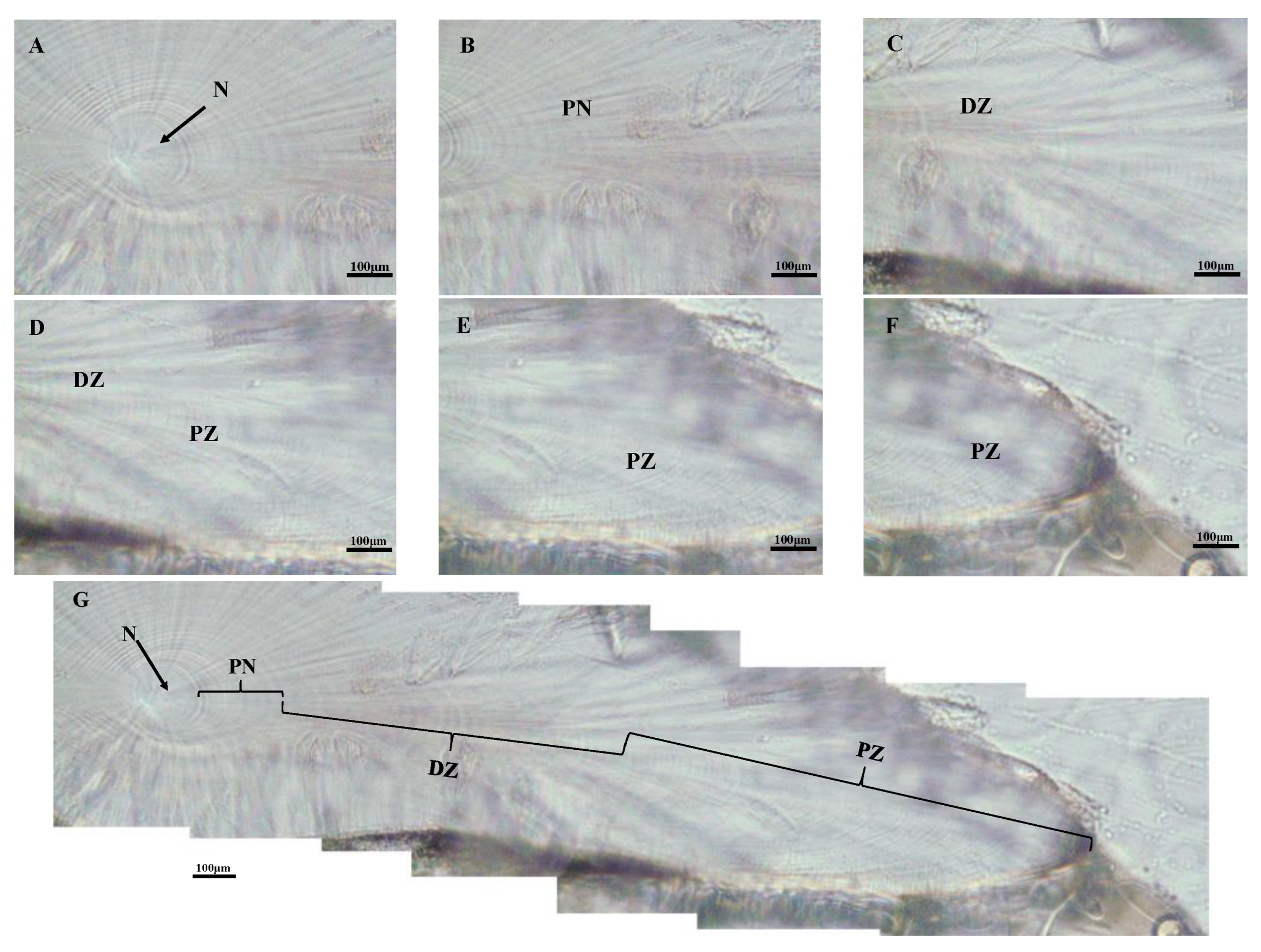 Fishes 07 00234 g004