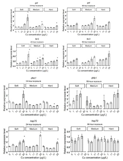 Fishes 07 00248 g0a1c 550