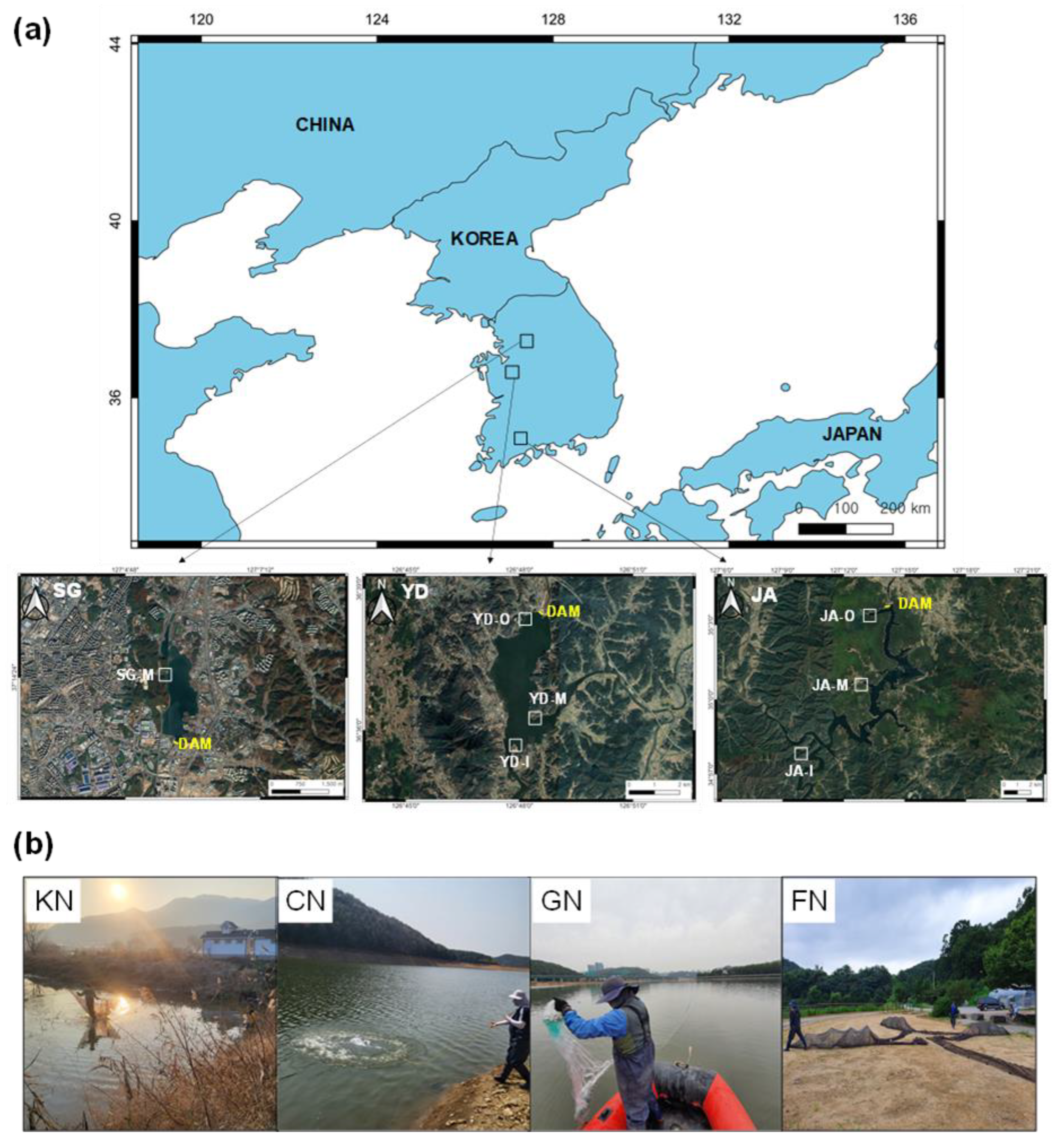 Fishes 07 00275 g001