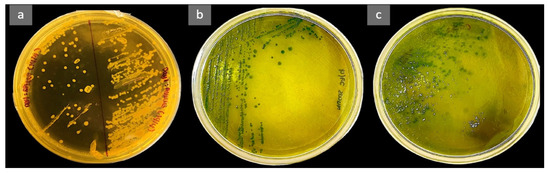 Fishes 07 00278 g0a1