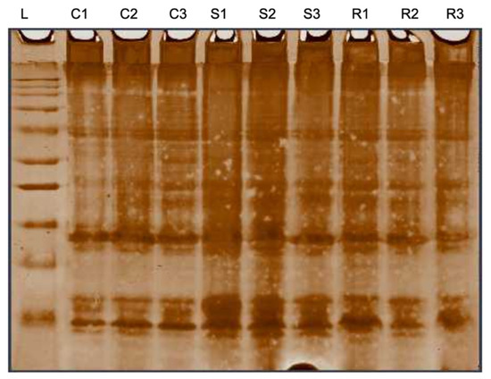 Fishes 07 00278 g0a2