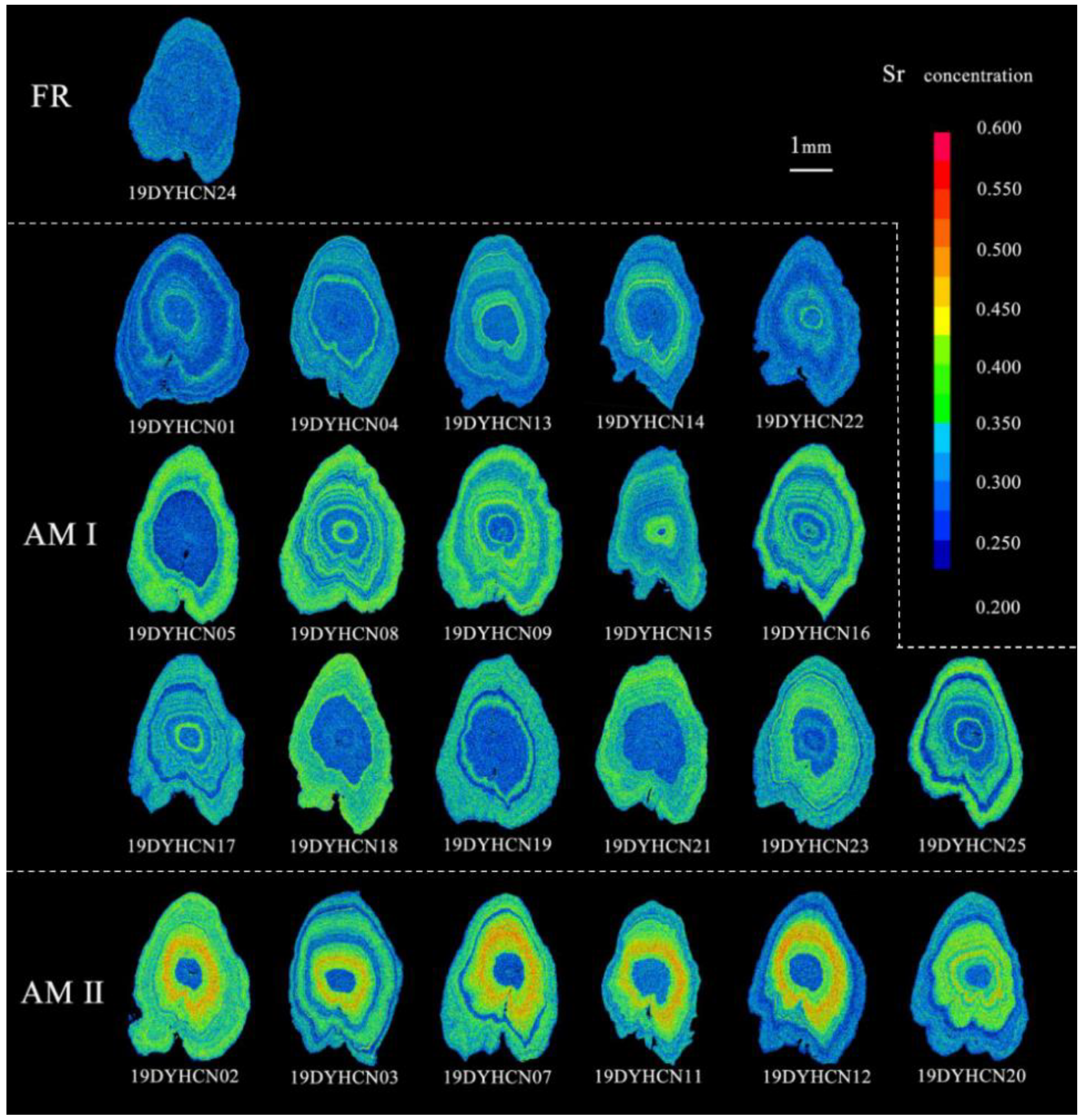 Fishes 07 00306 g004