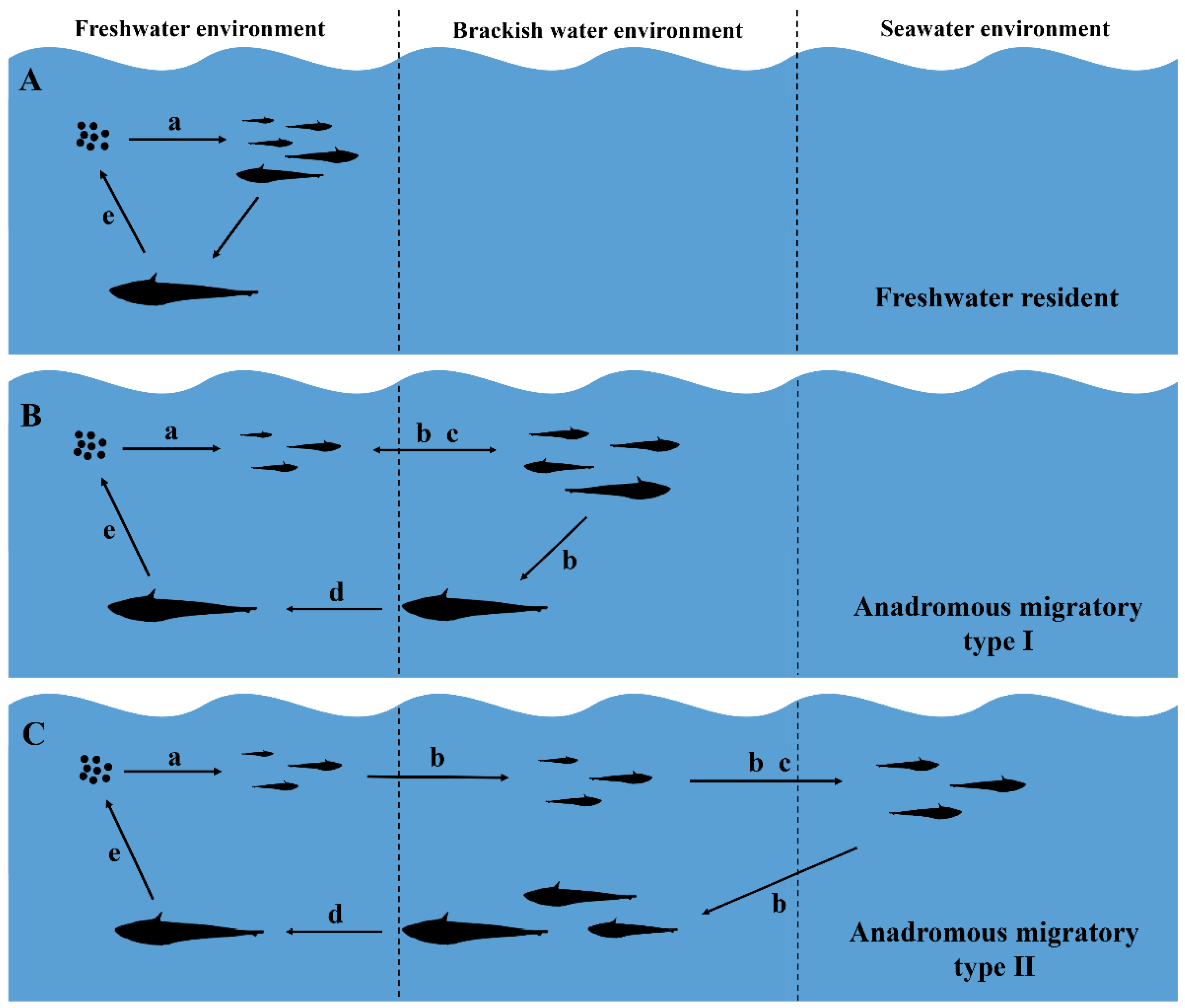 Fishes 07 00306 g005