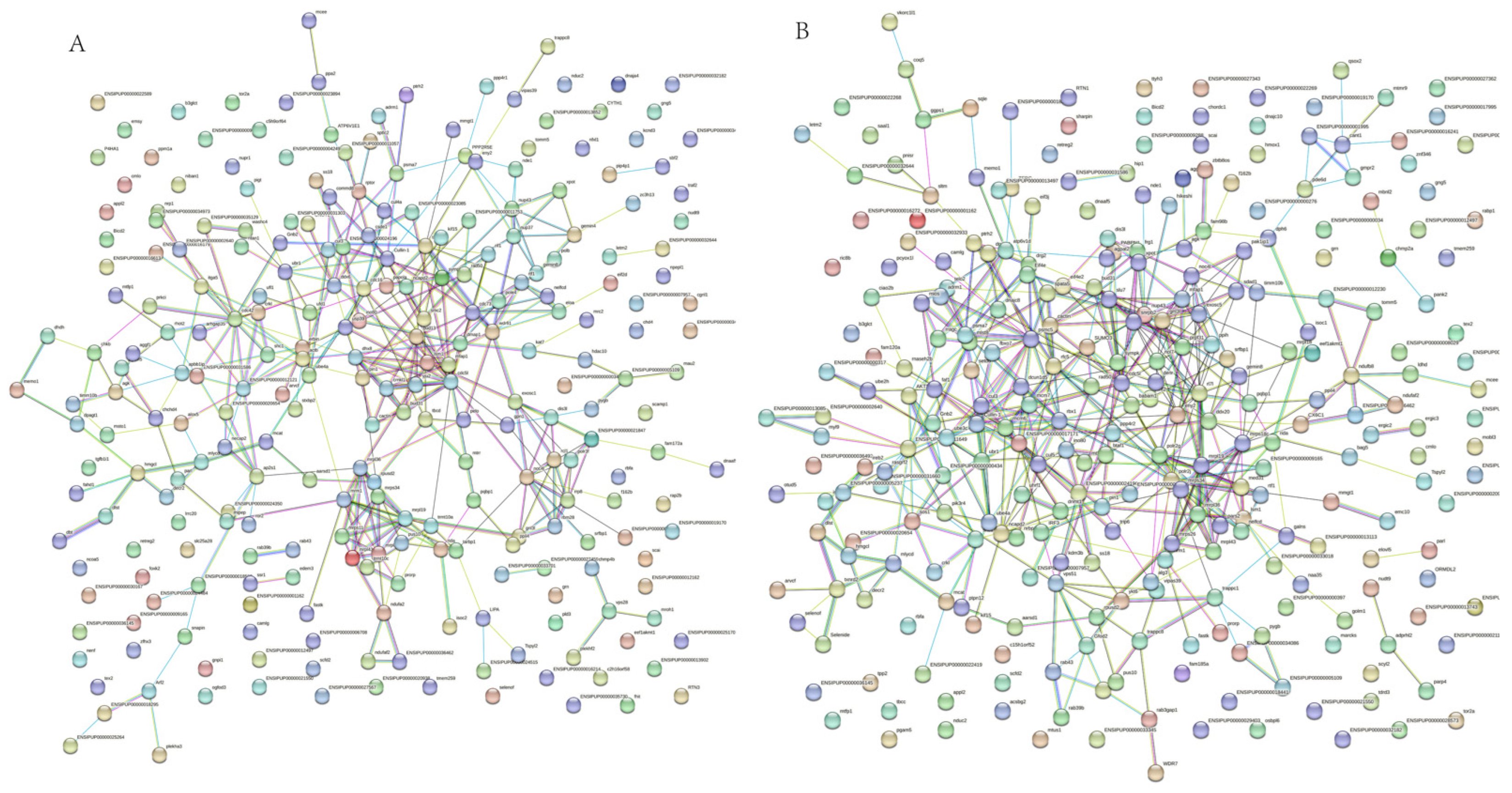 Fishes 07 00315 g004 Fishes 07 00315 g004