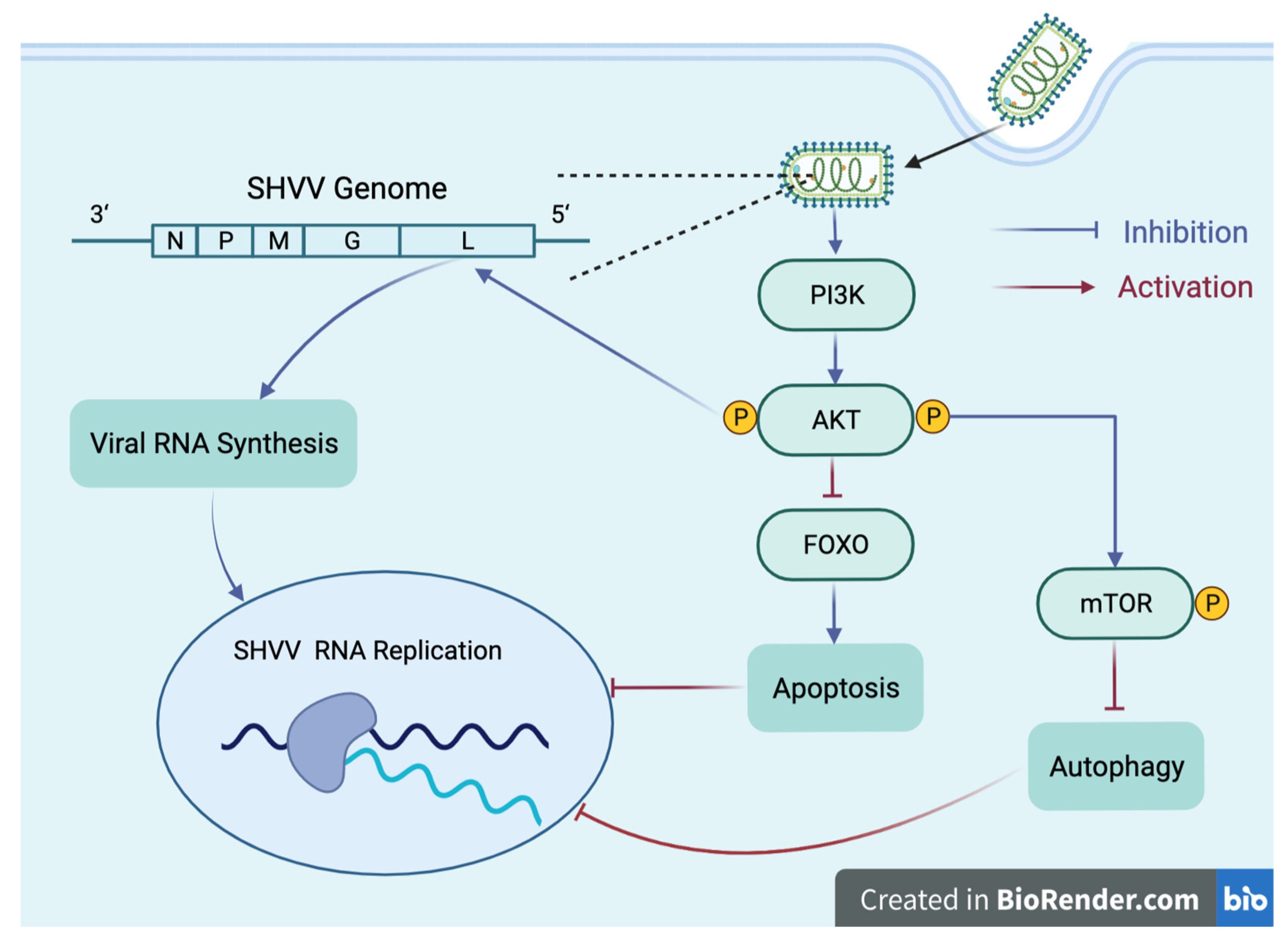 Fishes 07 00315 g005 Fishes 07 00315 g005
